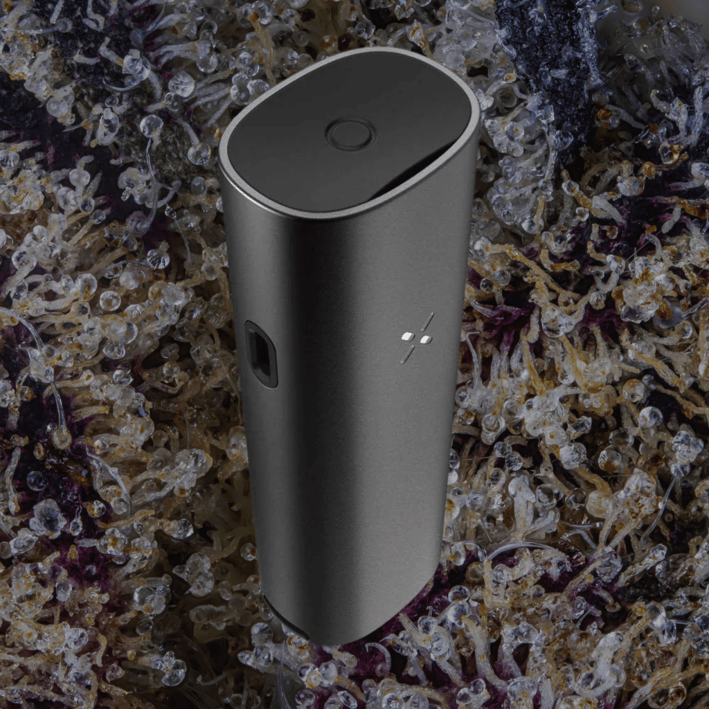 Pax Four Vaporizer Onyx | Trichly