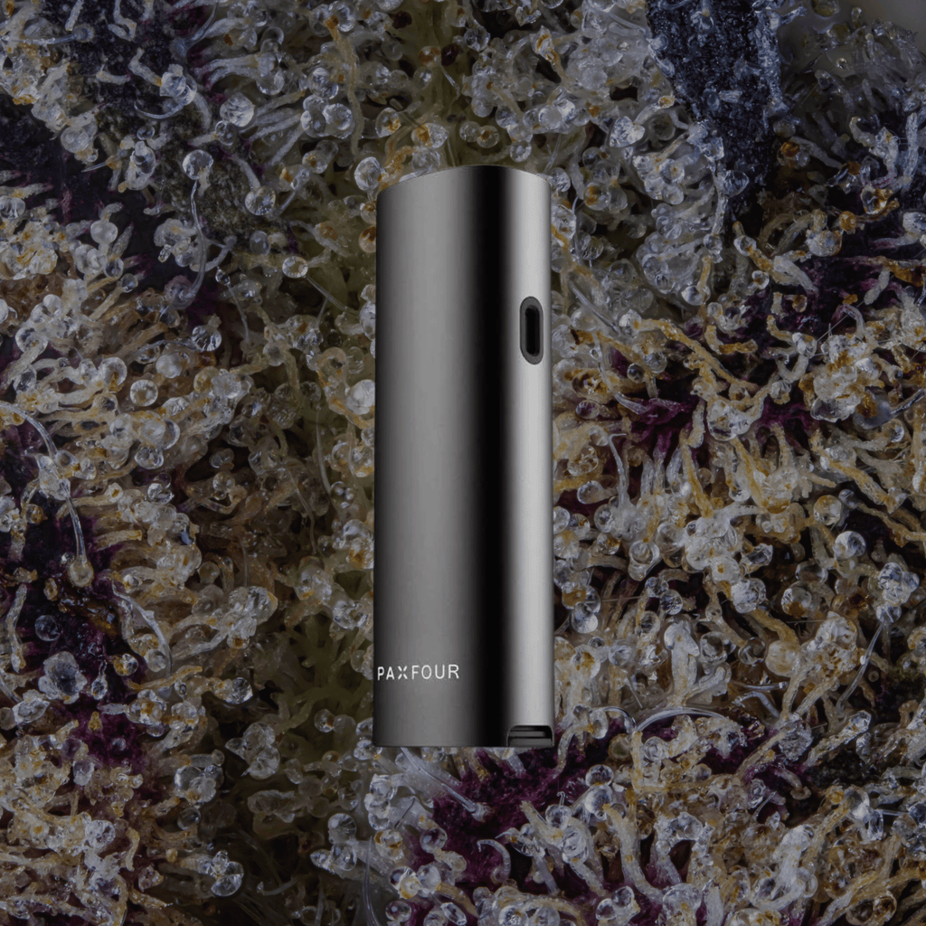 Pax Four Vaporizer Onyx | Trichly