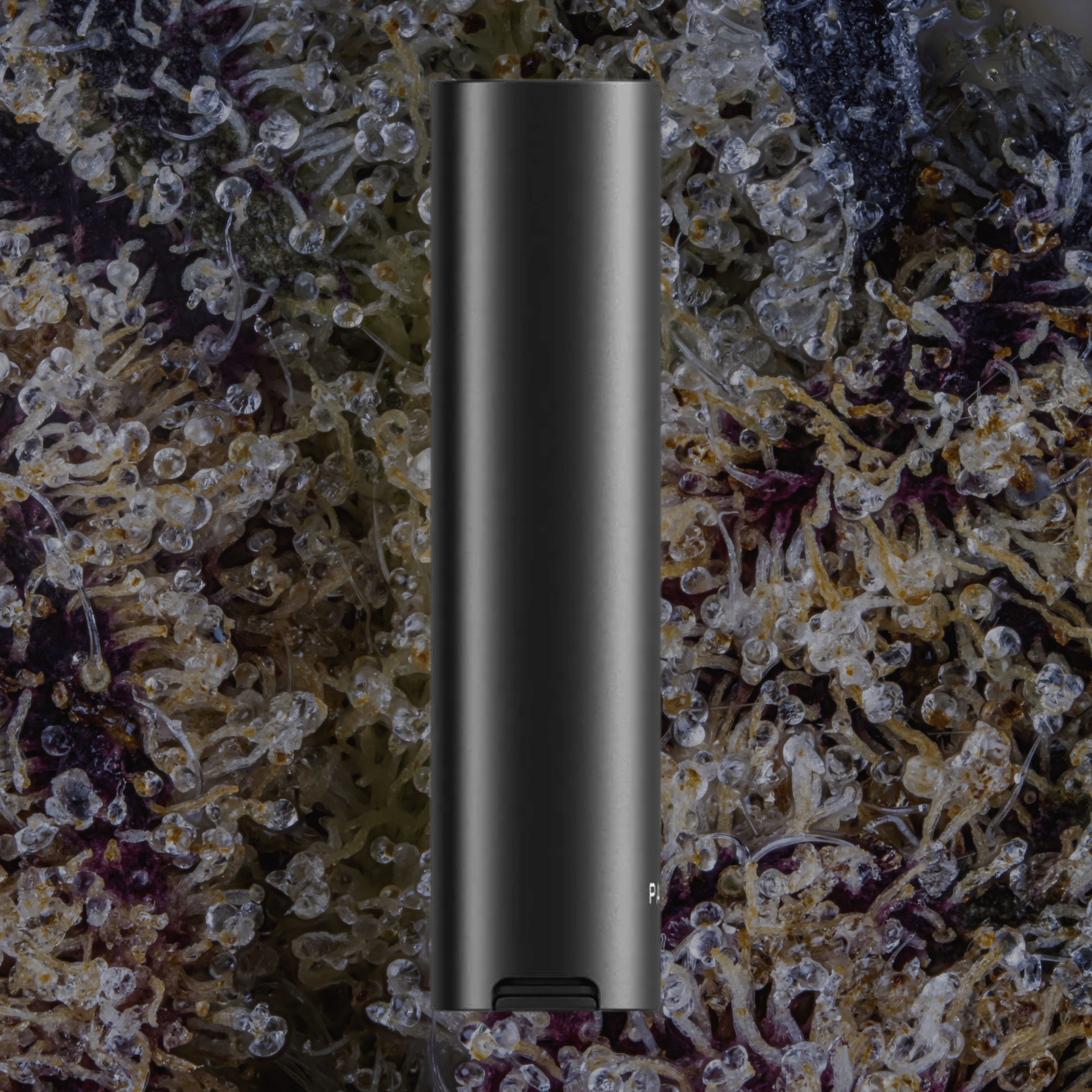 Pax Four Vaporizer Onyx | Trichly