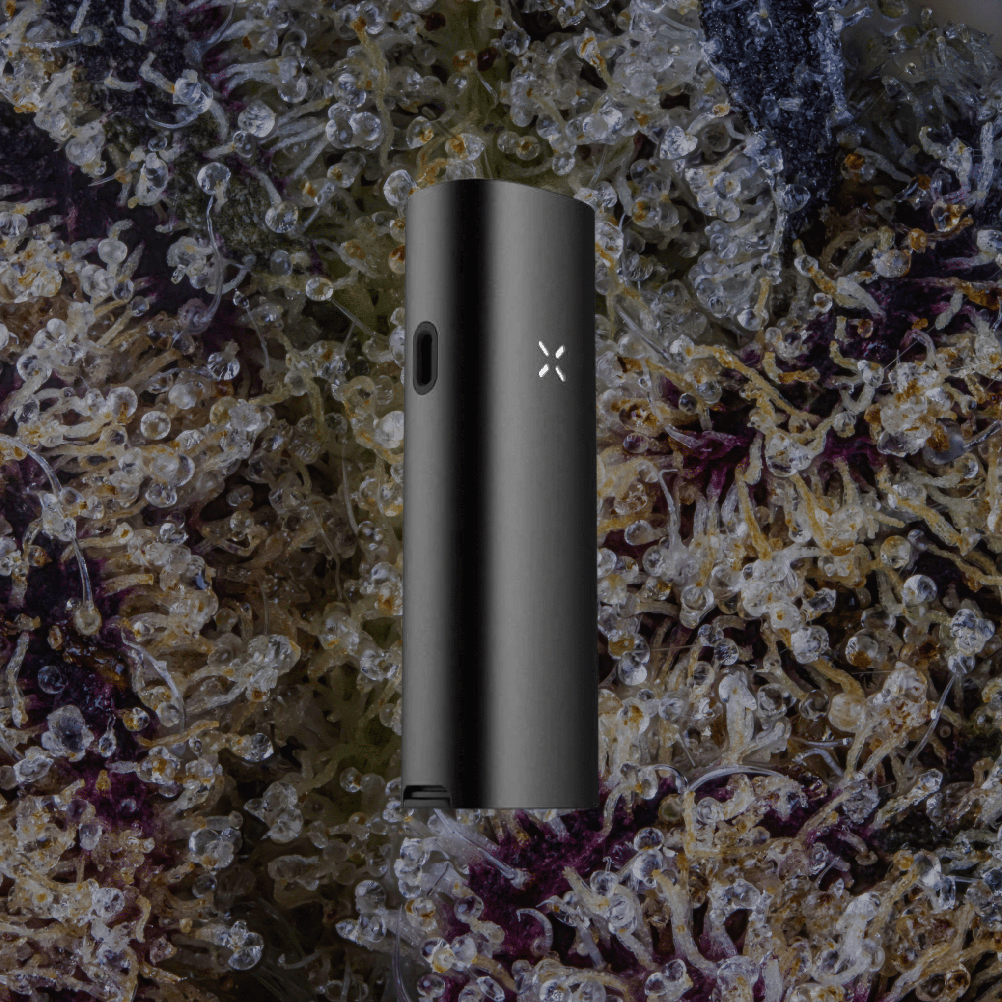 Pax Four Vaporizer Onyx | Trichly