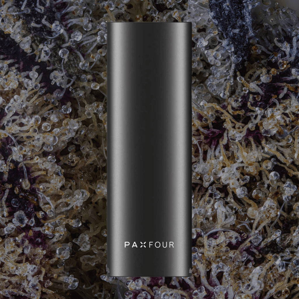 Pax Four Vaporizer Onyx | Trichly