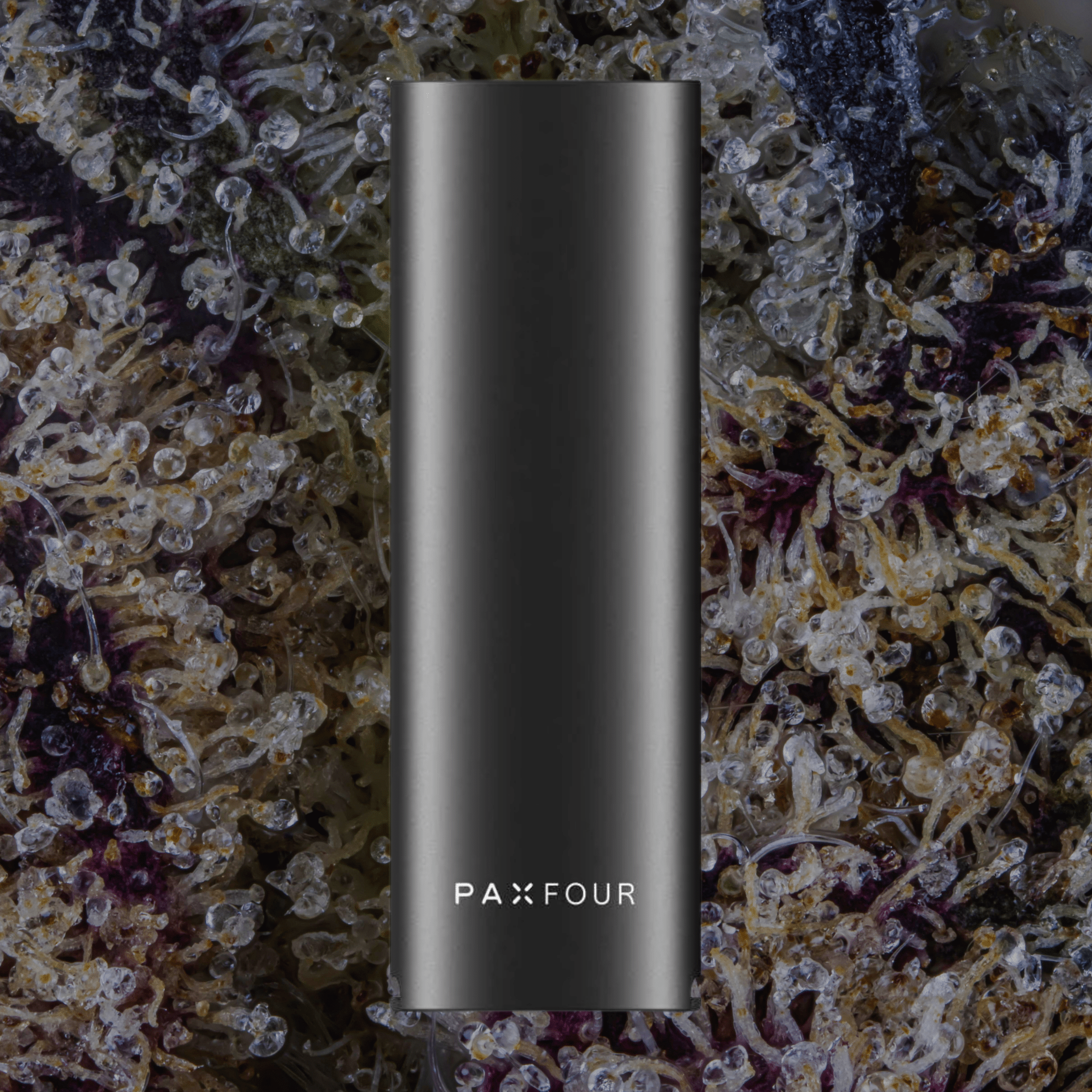 Pax Four Vaporizer Onyx | Trichly