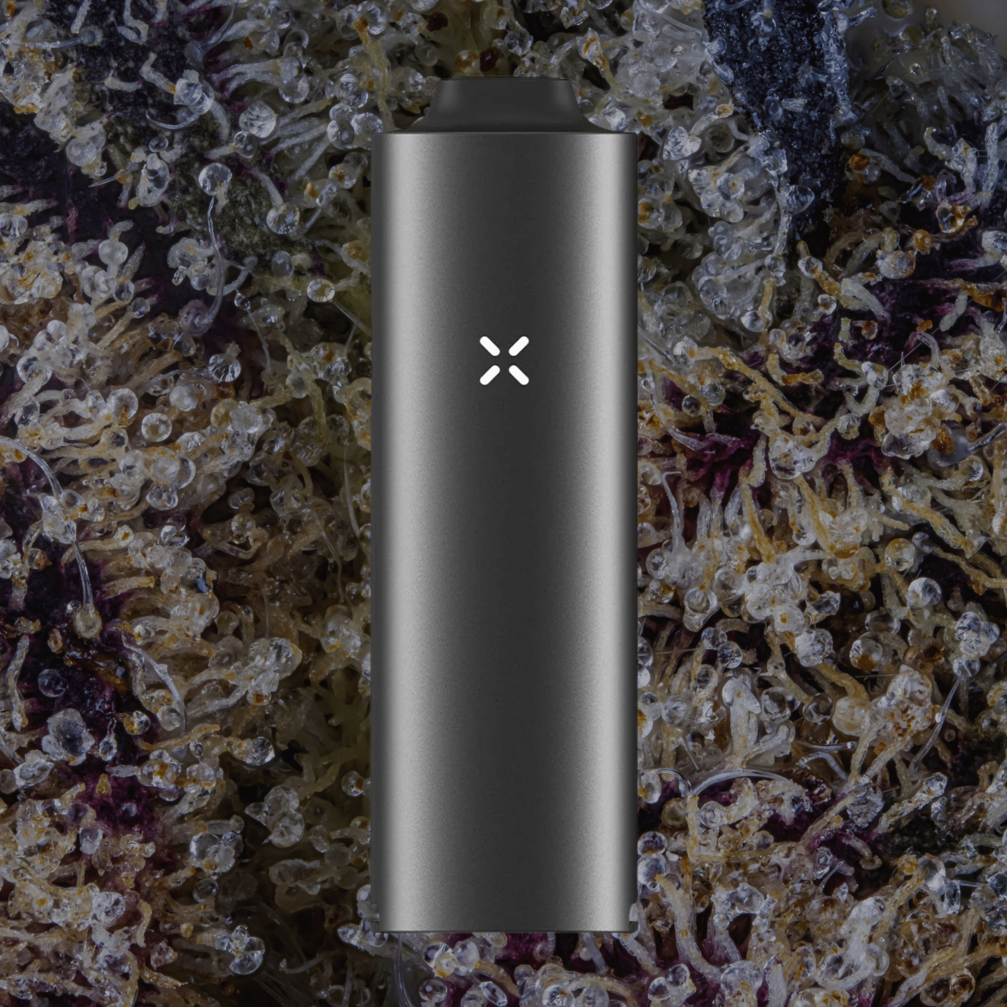 Pax Four Vaporizer Onyx | Trichly