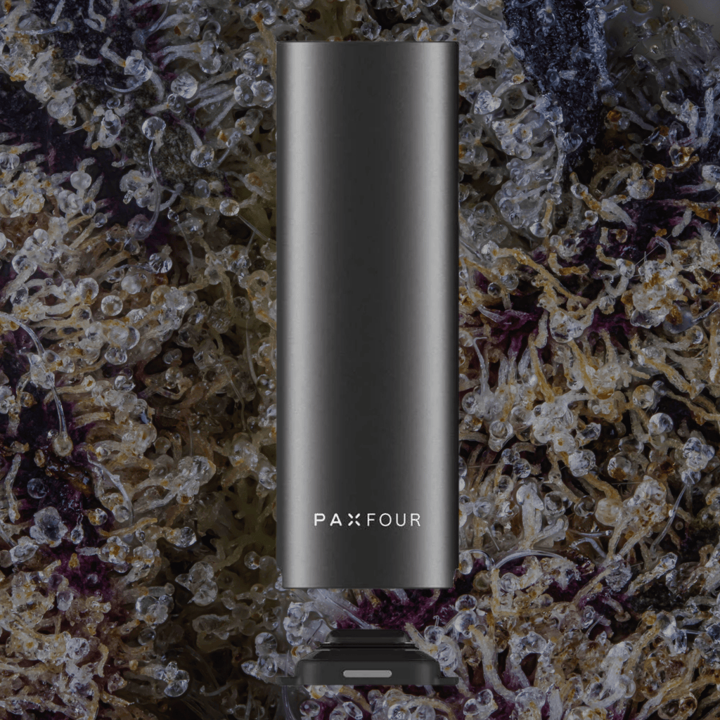 Pax Four Vaporizer Onyx | Trichly