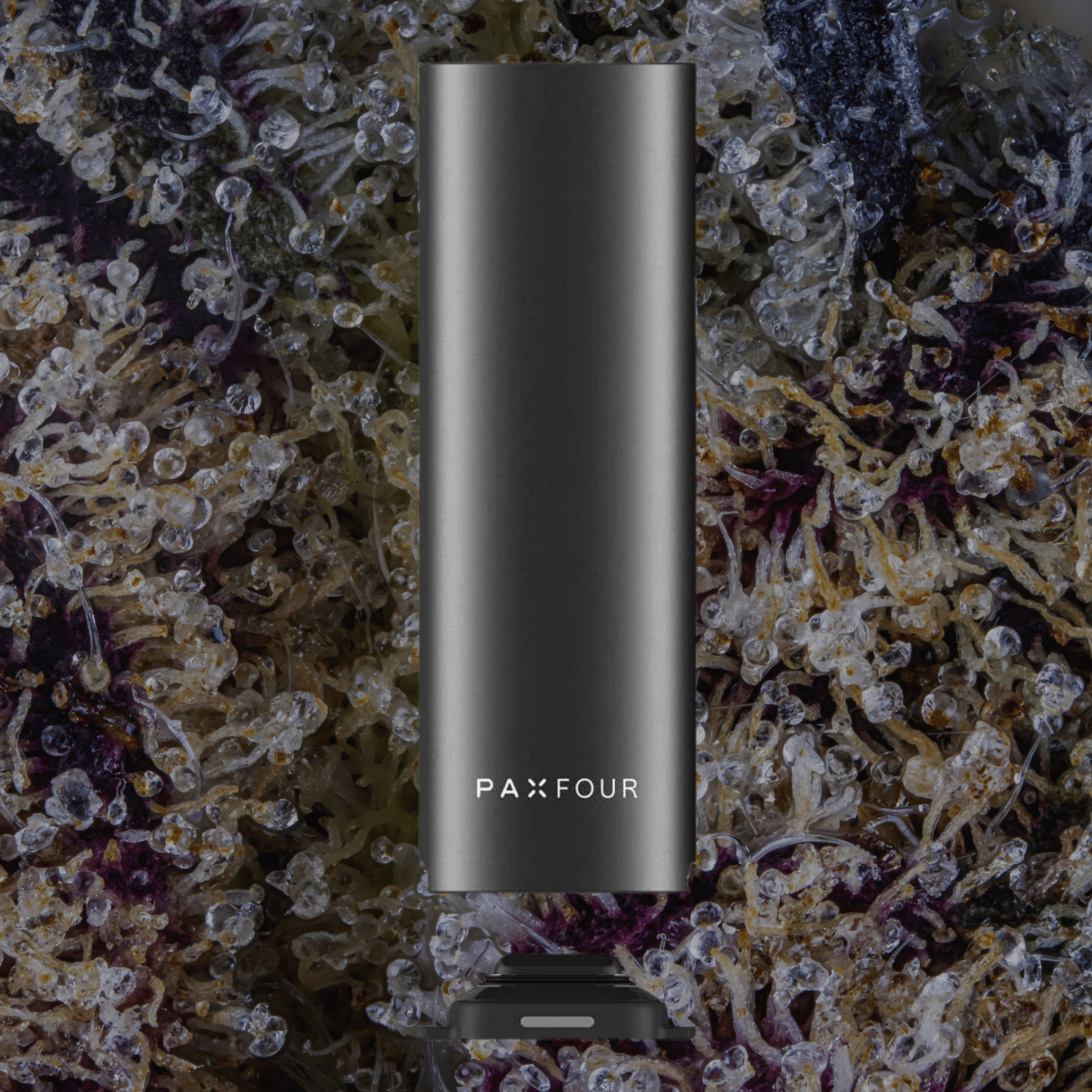 Pax Four Vaporizer Onyx | Trichly