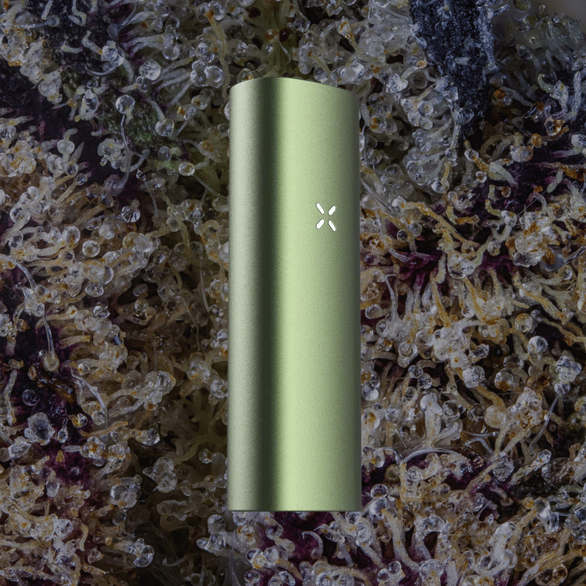 PAX Mini 2 Vaporizer Greenstone | Trichly
