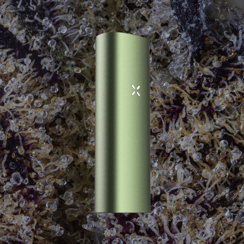 PAX Mini 2 Vaporizer Greenstone | Trichly