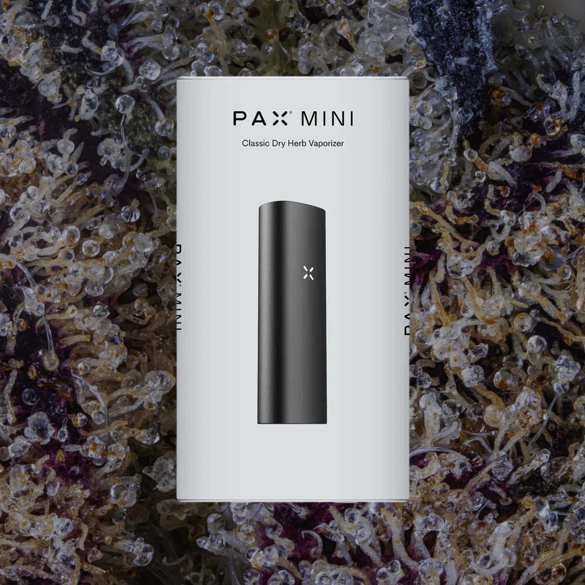 PAX Mini 2 Vaporizer Onyx | Trichly