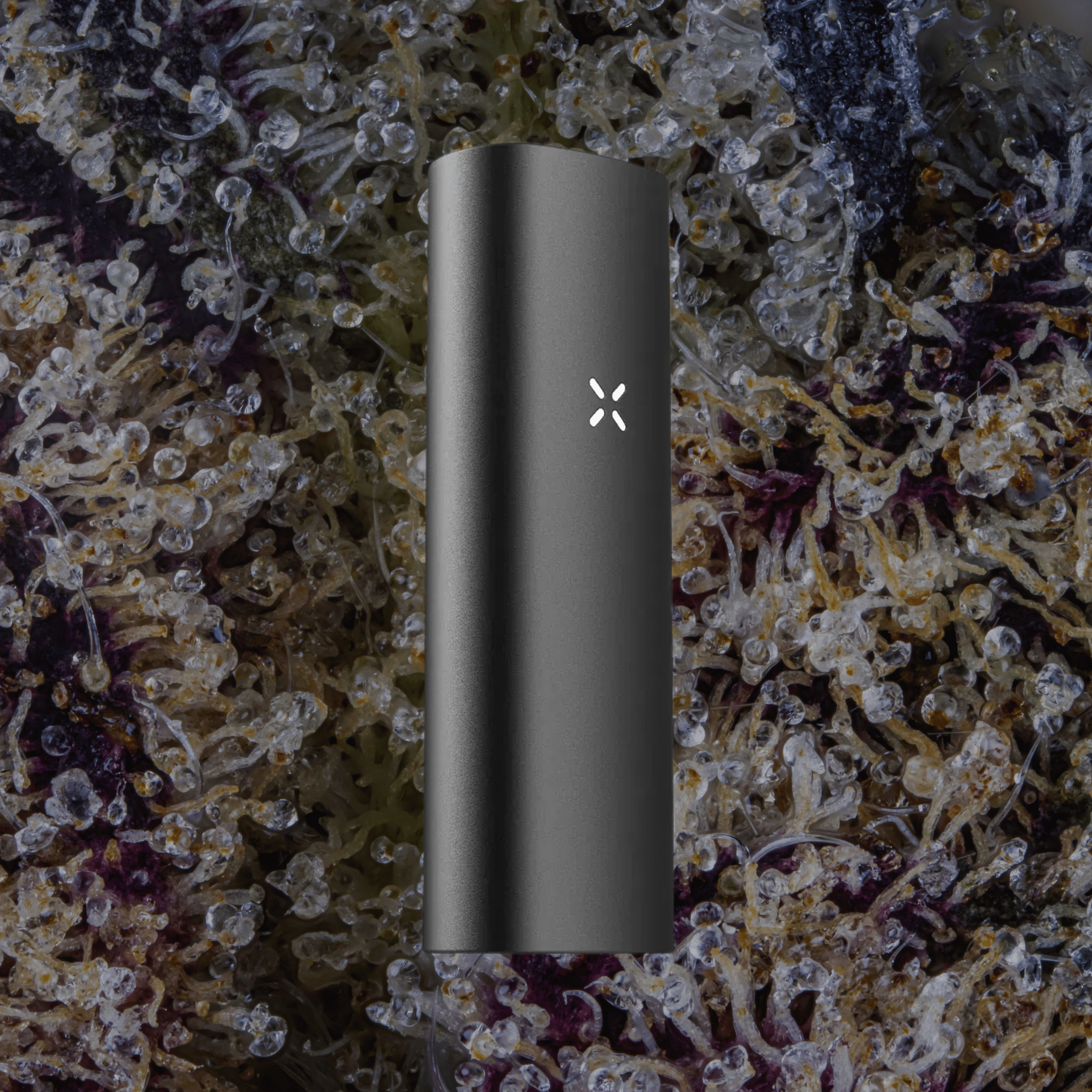PAX Mini 2 Vaporizer Onyx | Trichly