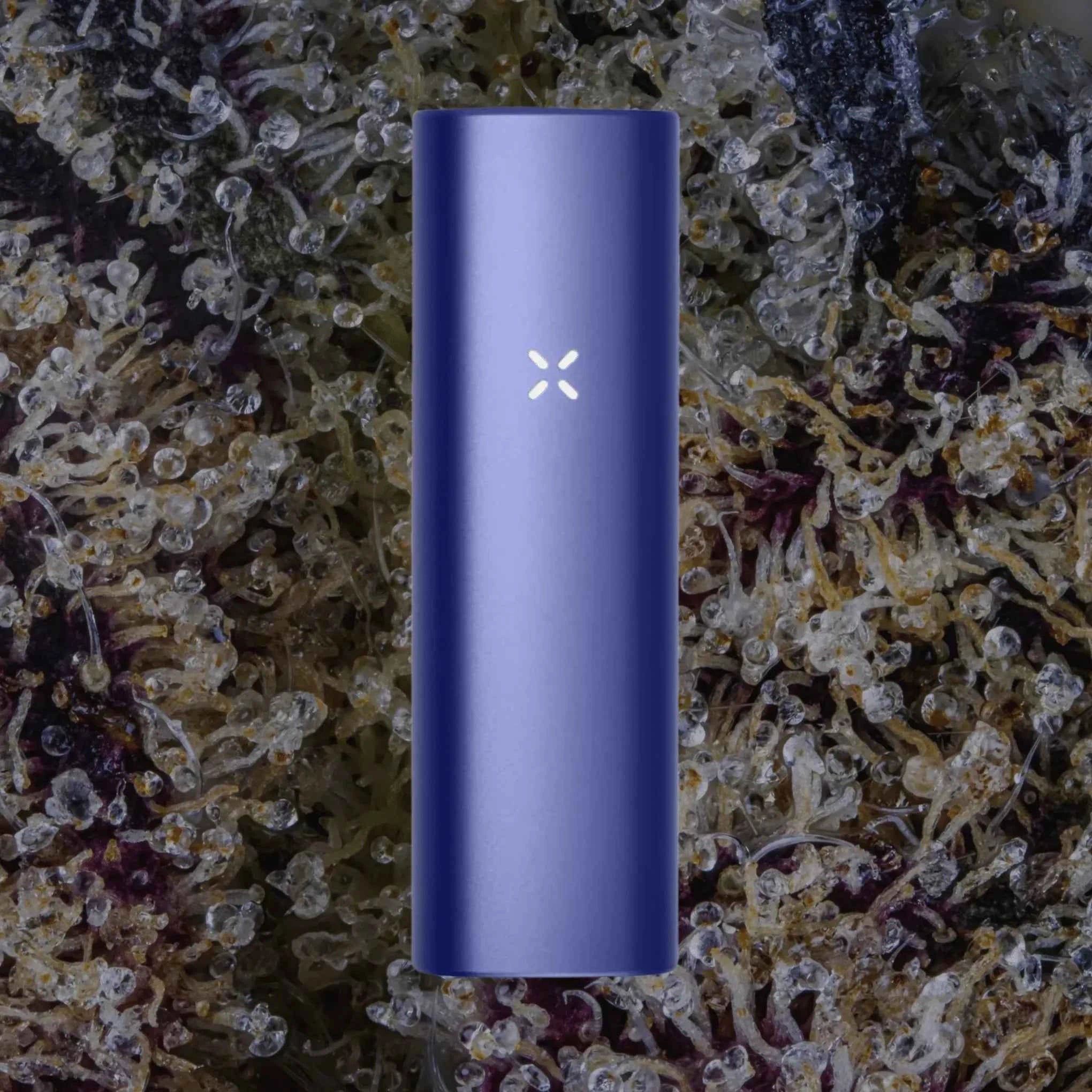 PAX Plus Periwinkle | Trichly