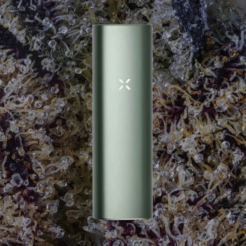PAX Plus Sage | Trichly