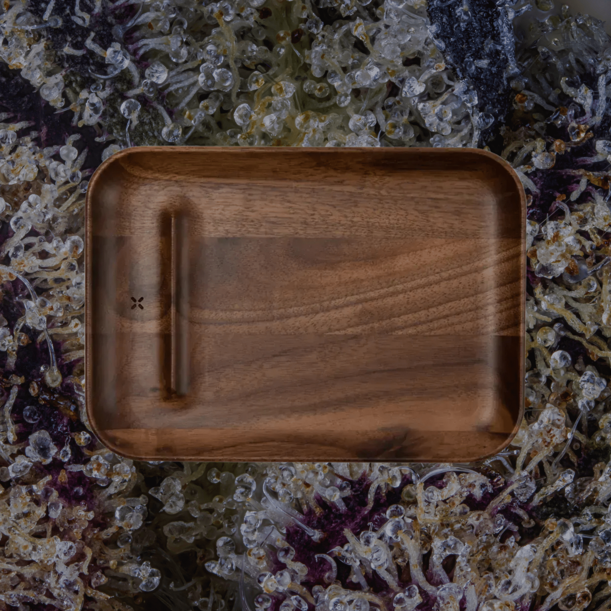 Pax Prep Tray | Trichly