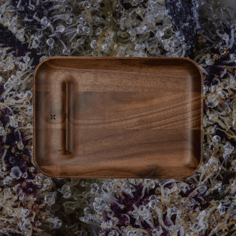 Pax Prep Tray | Trichly