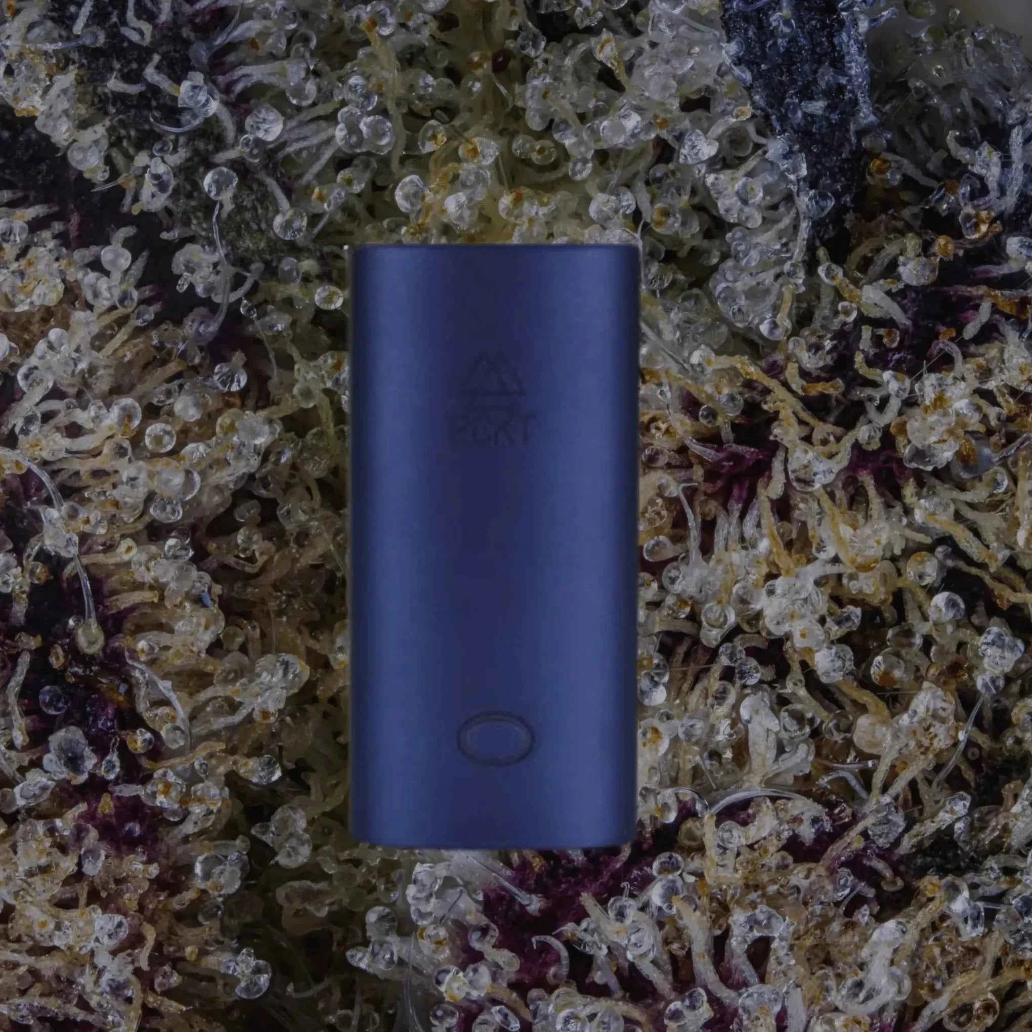 PCKT Two Badablue | Trichly