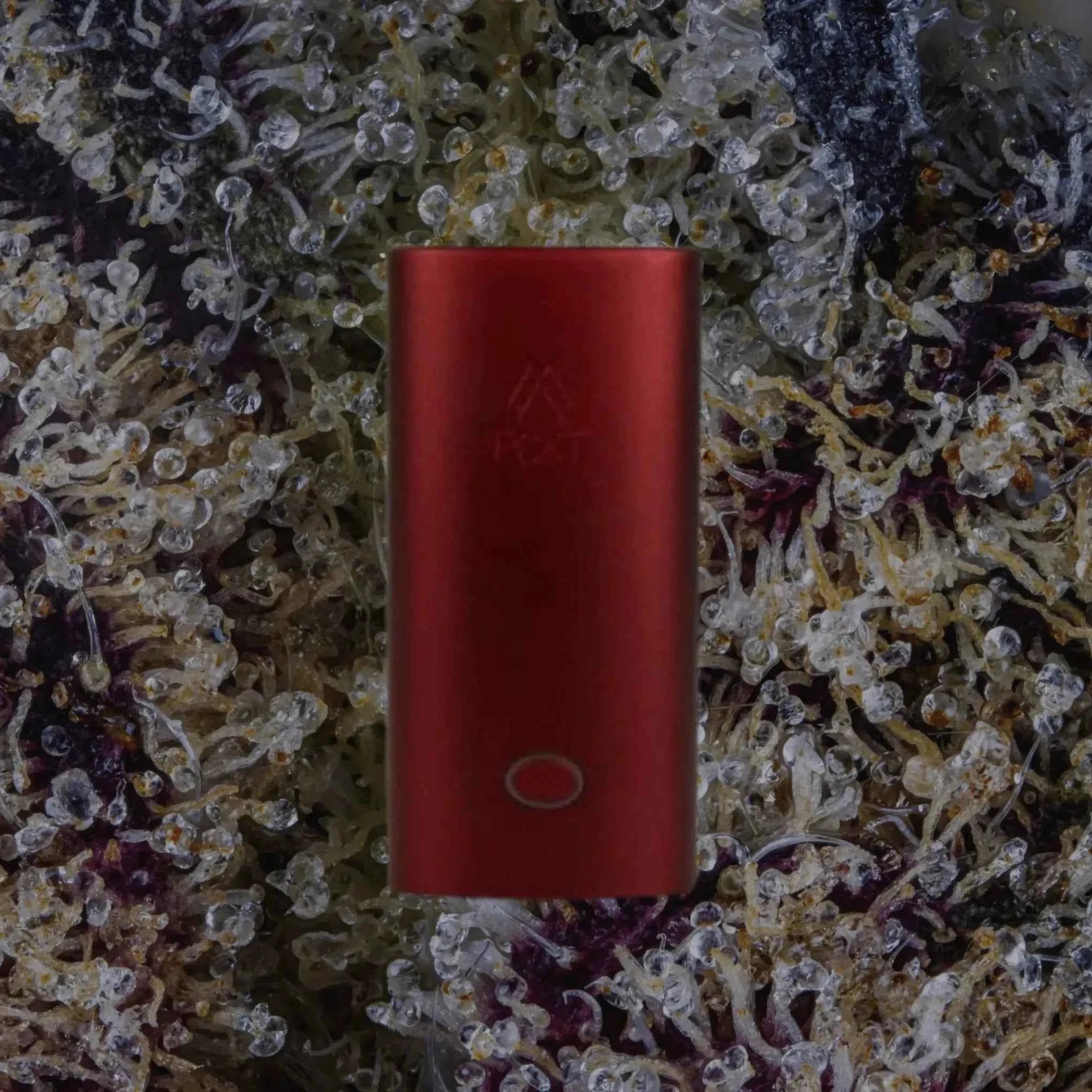 PCKT Two Golden Gate | Trichly