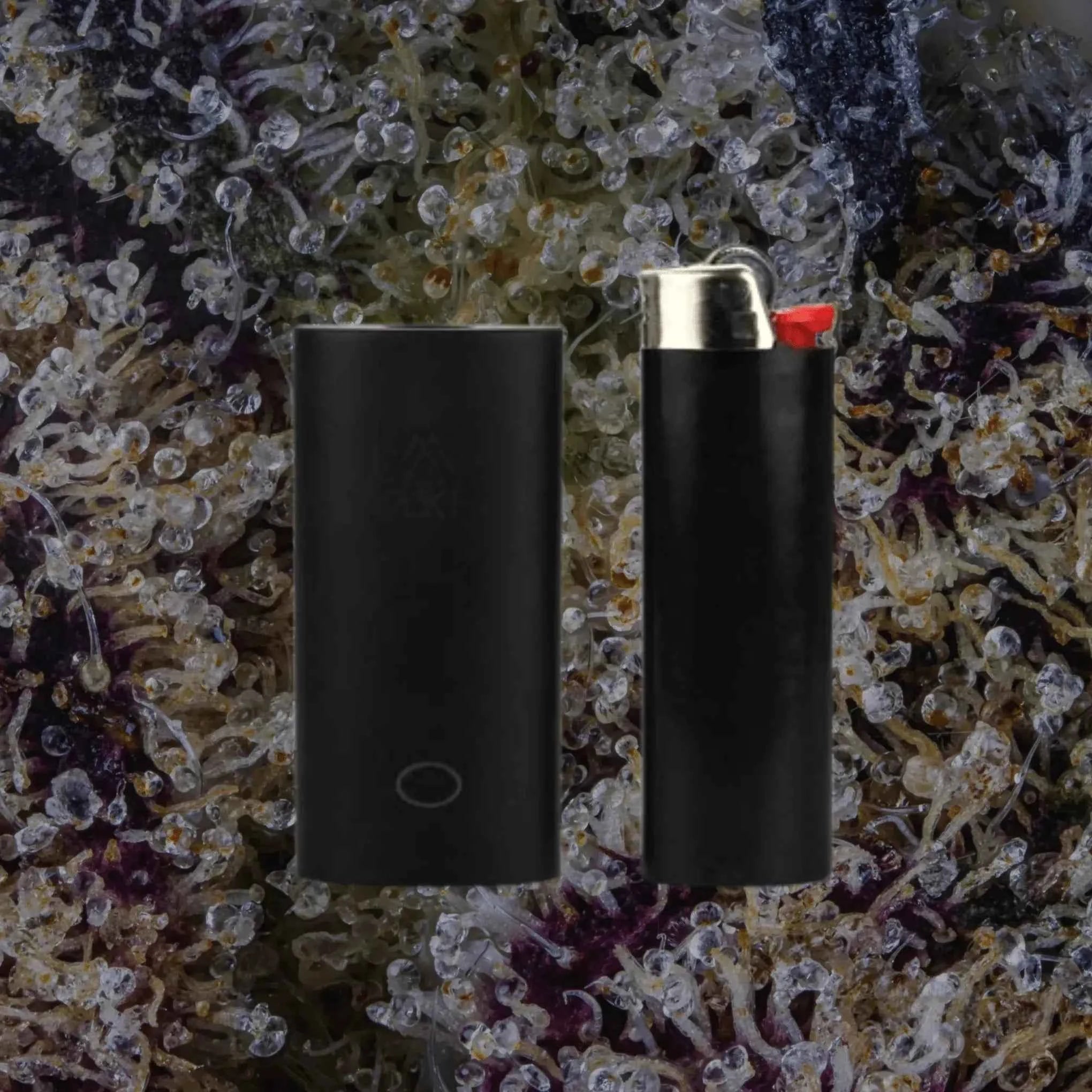 PCKT Two Tahoe | Trichly