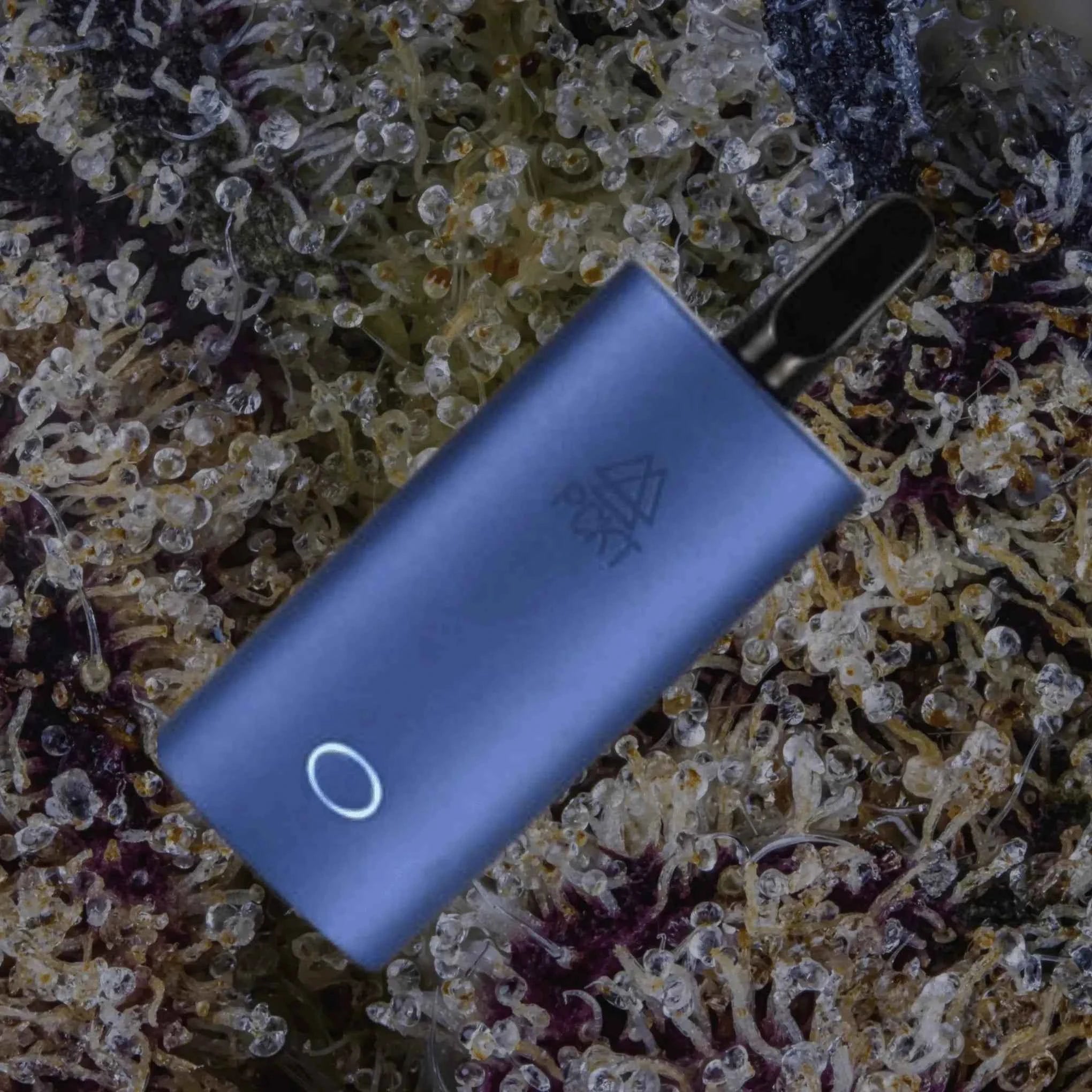 PCKT Two Tahoe | Trichly