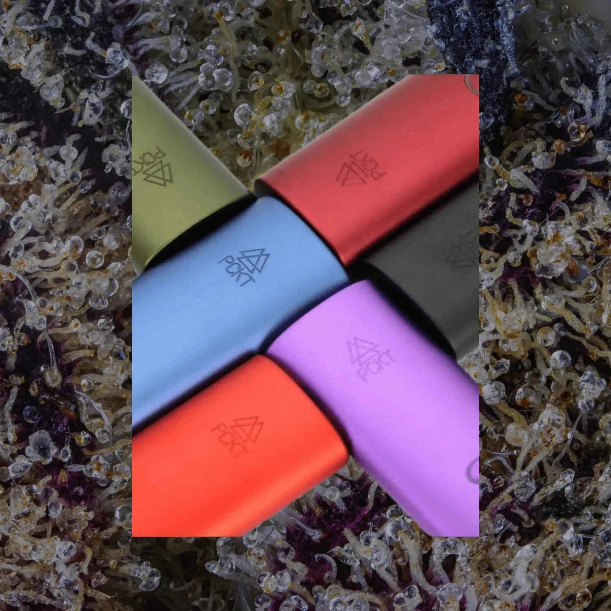 PCKT Two Tahoe | Trichly