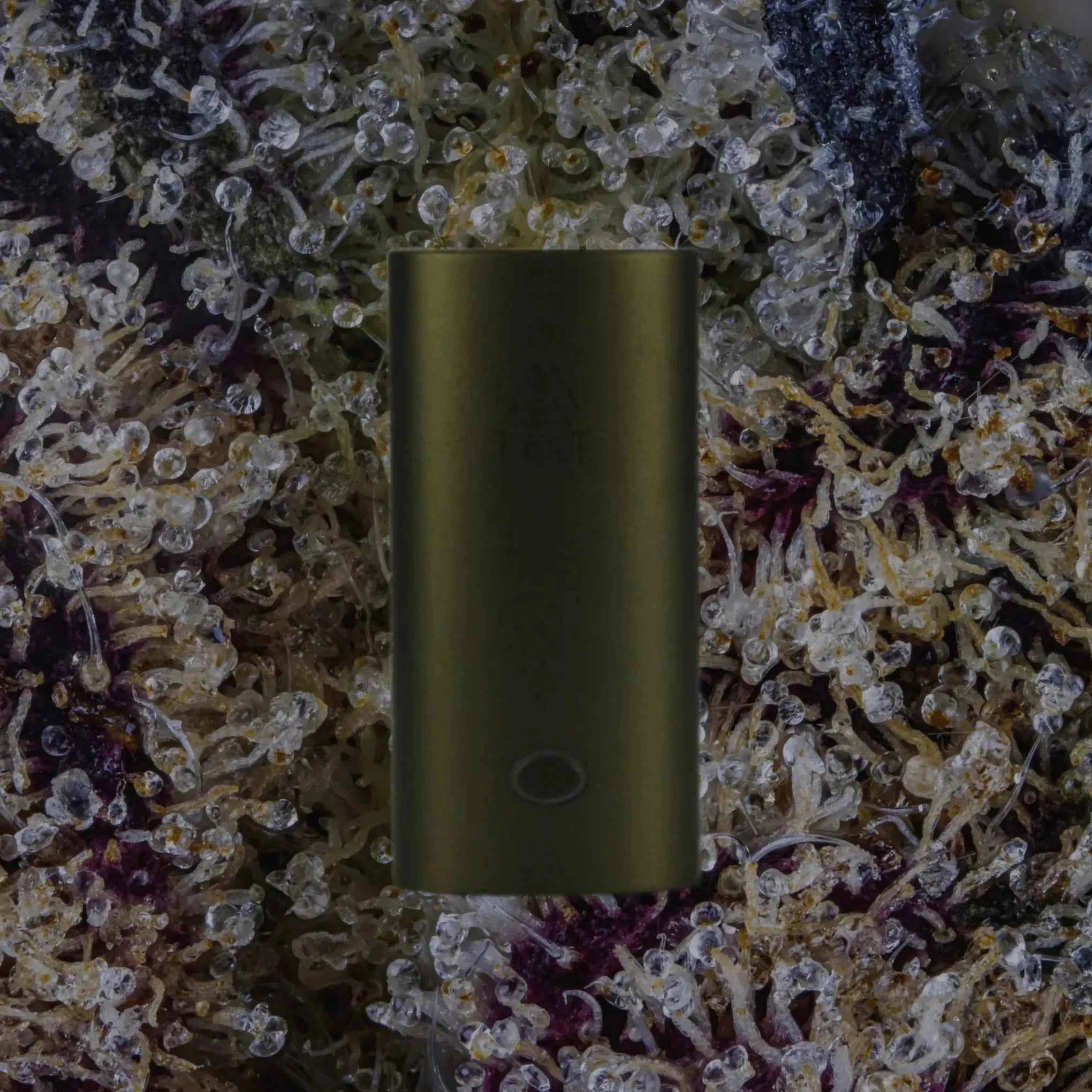 PCKT Two Tahoe | Trichly