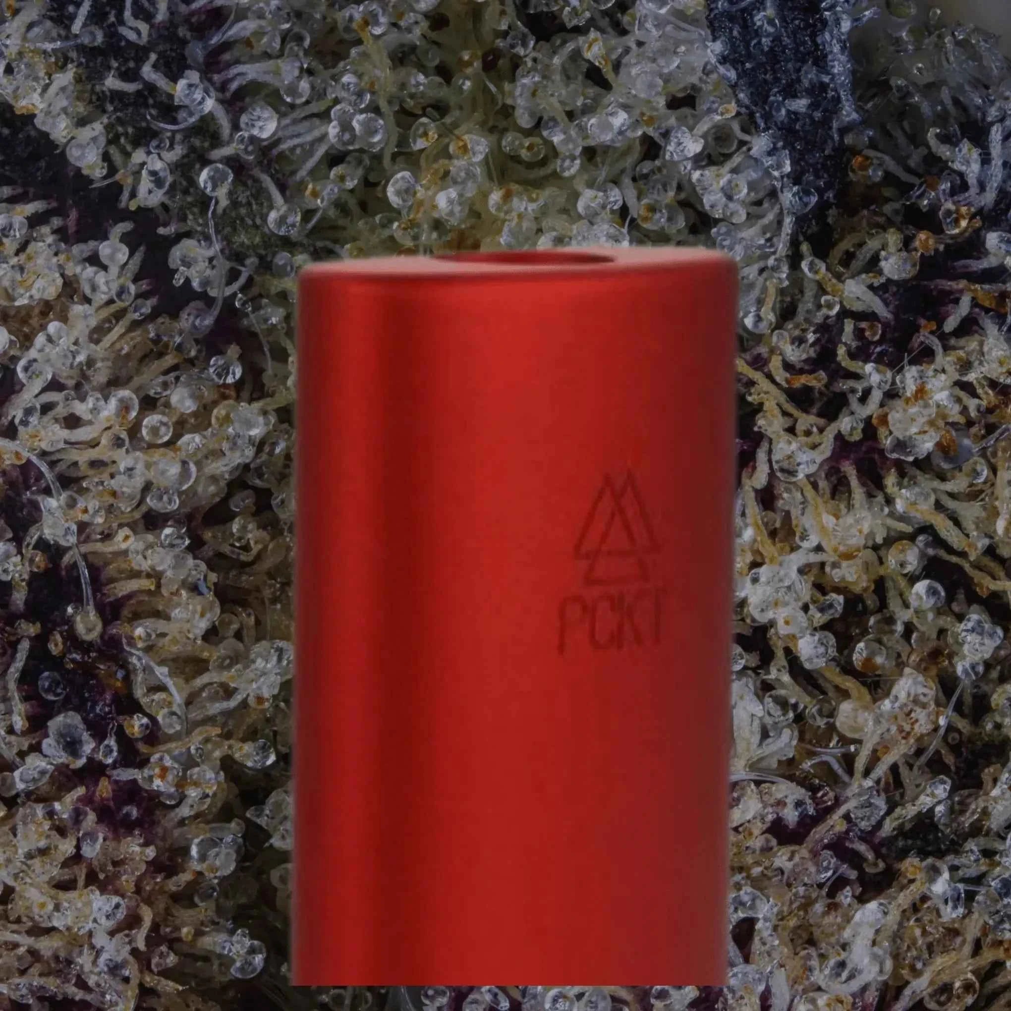 PCKT Two Tahoe | Trichly