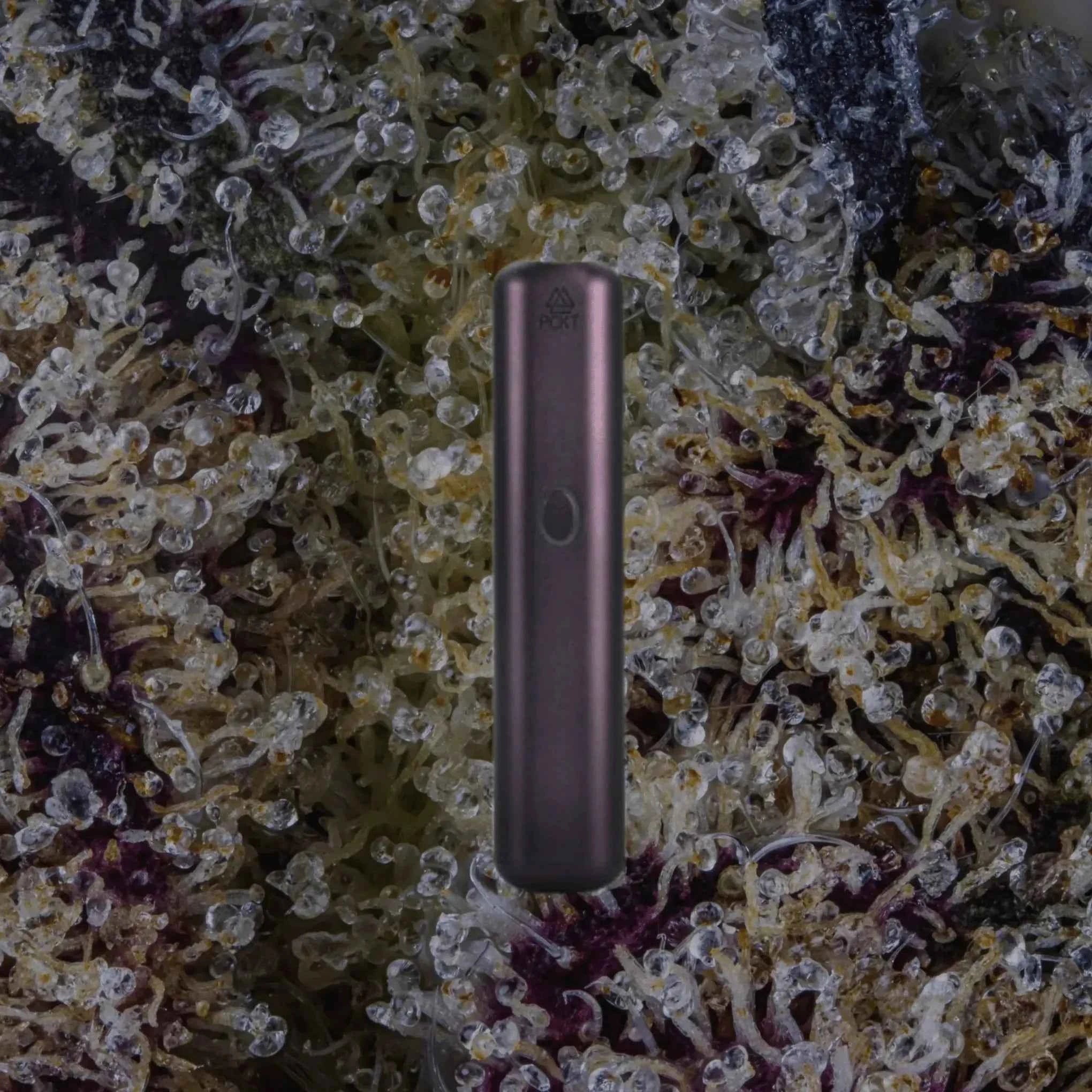 PCKT VRTCL Indica | Trichly