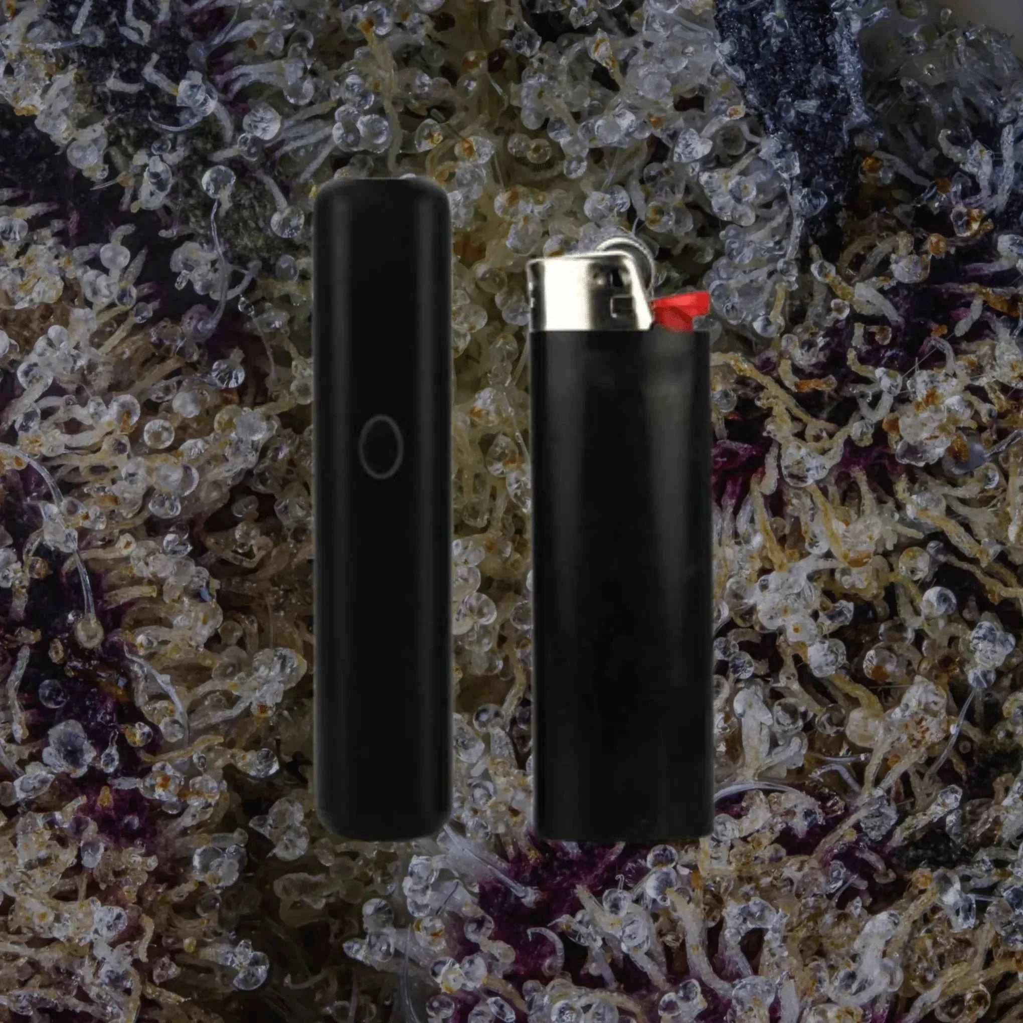 PCKT VRTCL Rustic | Trichly