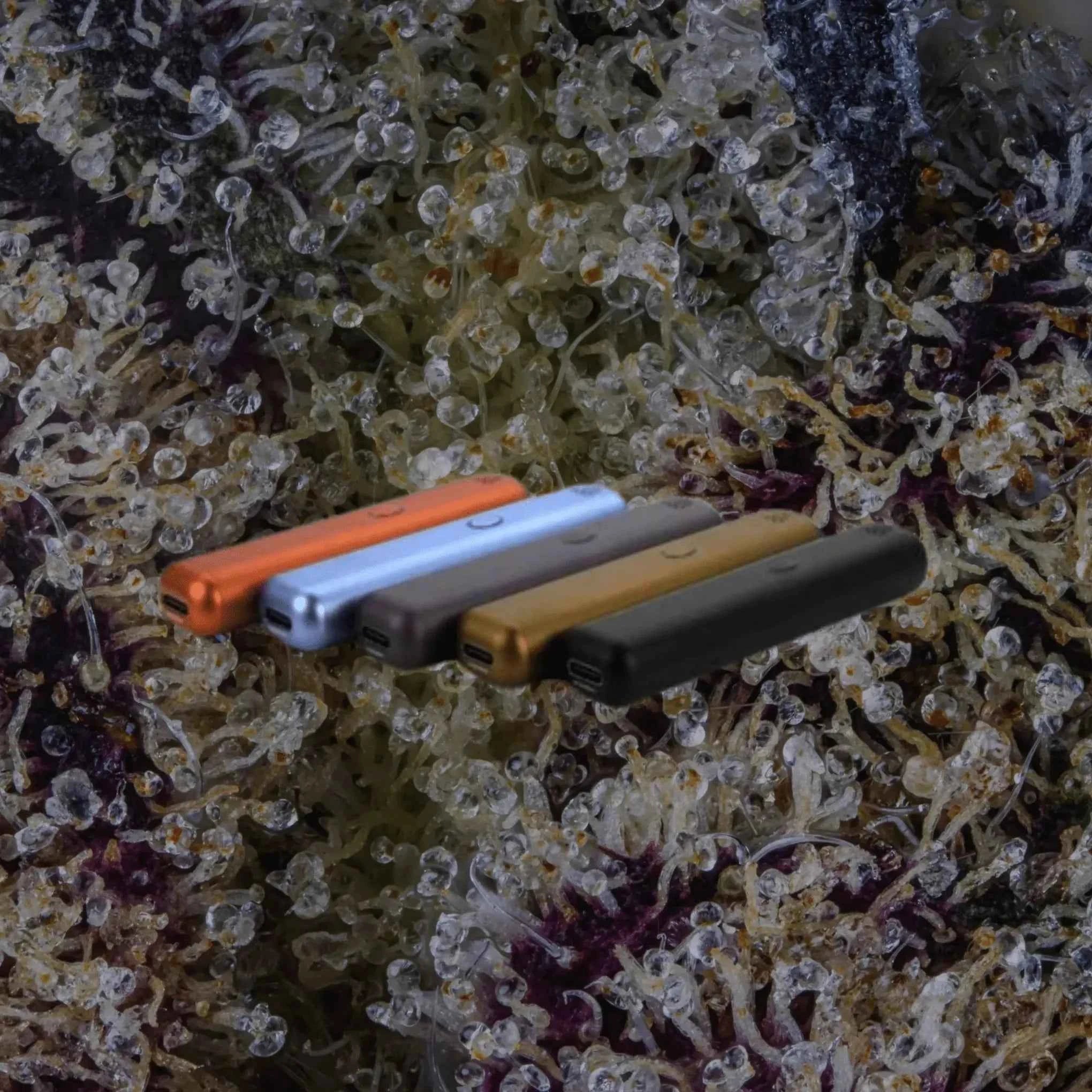 PCKT VRTCL Rustic | Trichly