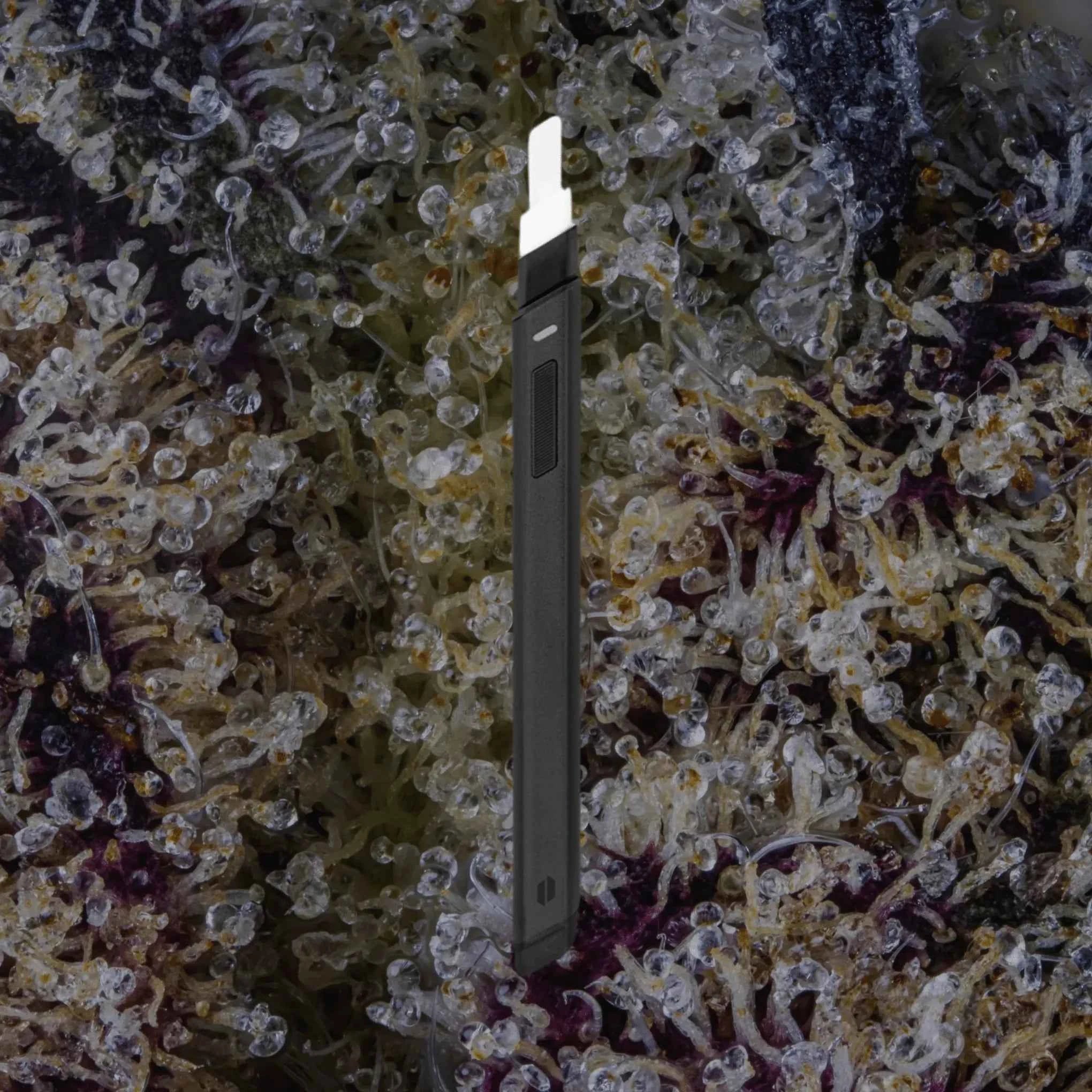 Puffco Hot Knife Black | Trichly