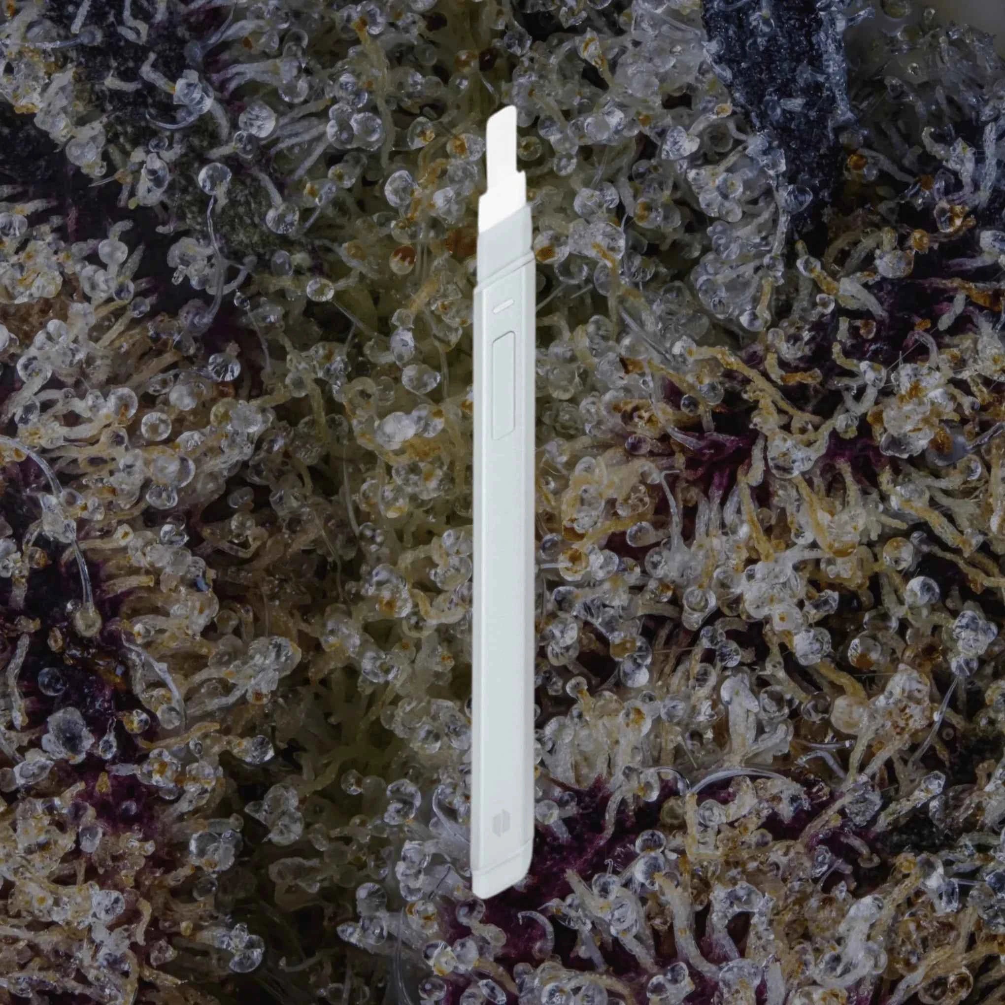 Puffco Hot Knife Pearl | Trichly