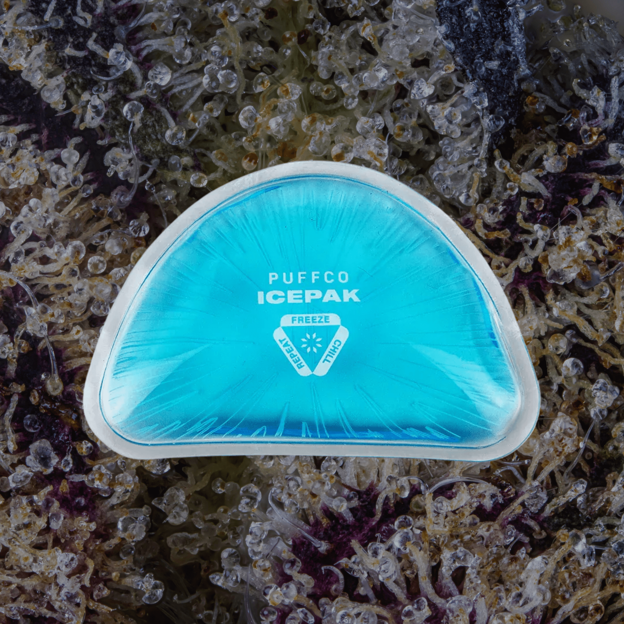 Puffco Journey Bag Black | Trichly