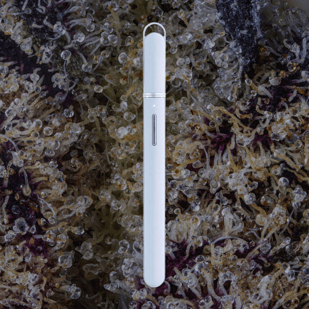 Puffco New Hot Knife Haze | Trichly