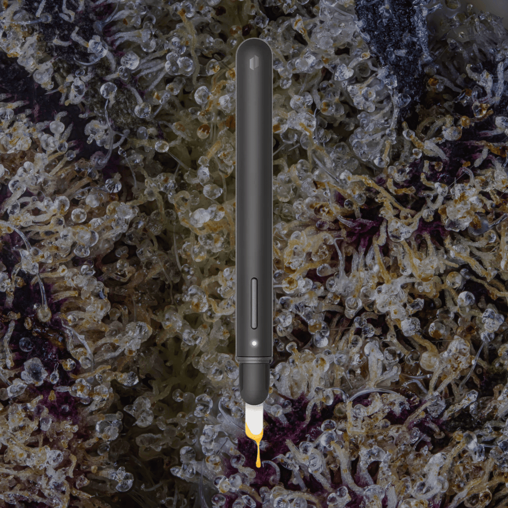 Puffco New Hot Knife Onyx | Trichly