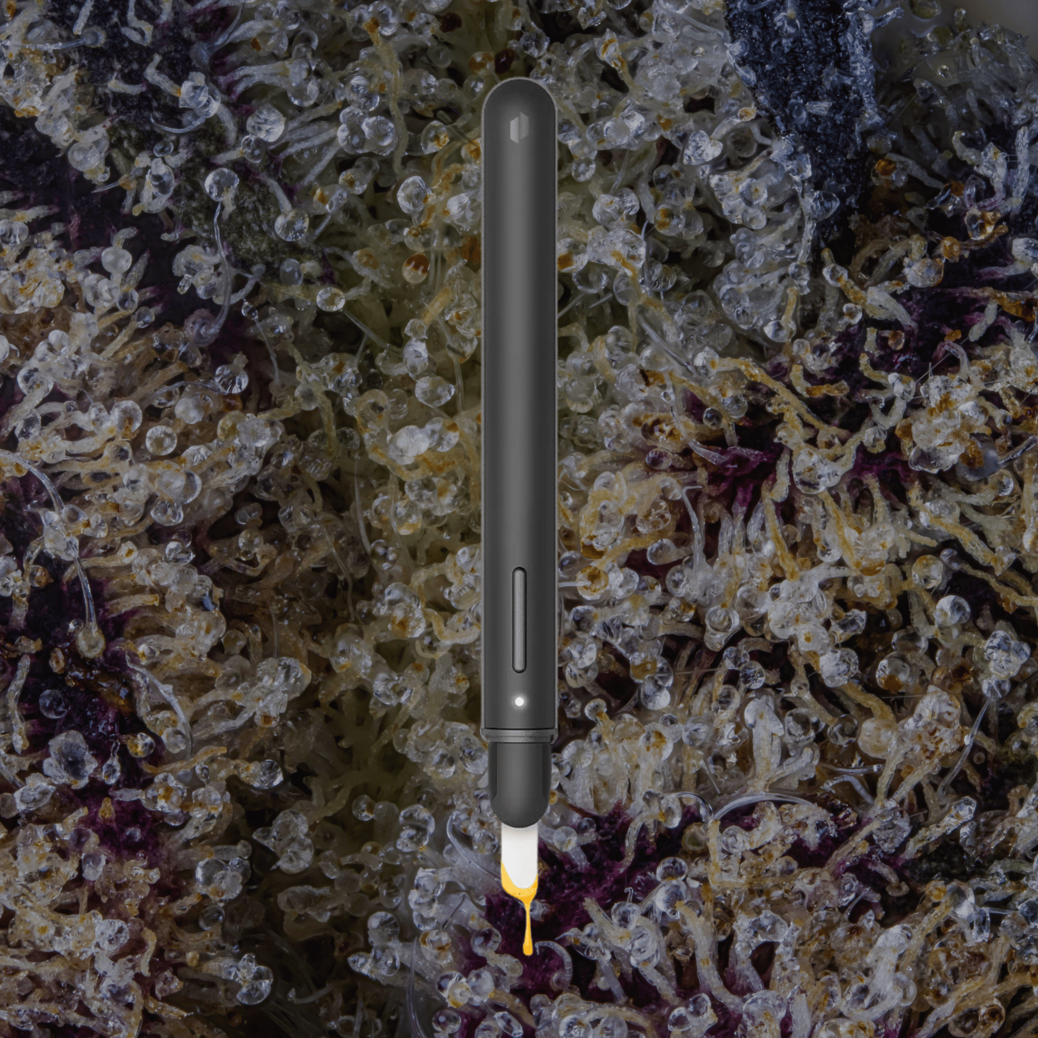 Puffco New Hot Knife Onyx | Trichly