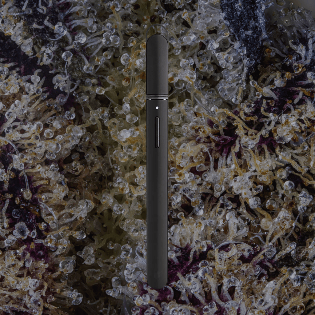 Puffco New Hot Knife Onyx | Trichly
