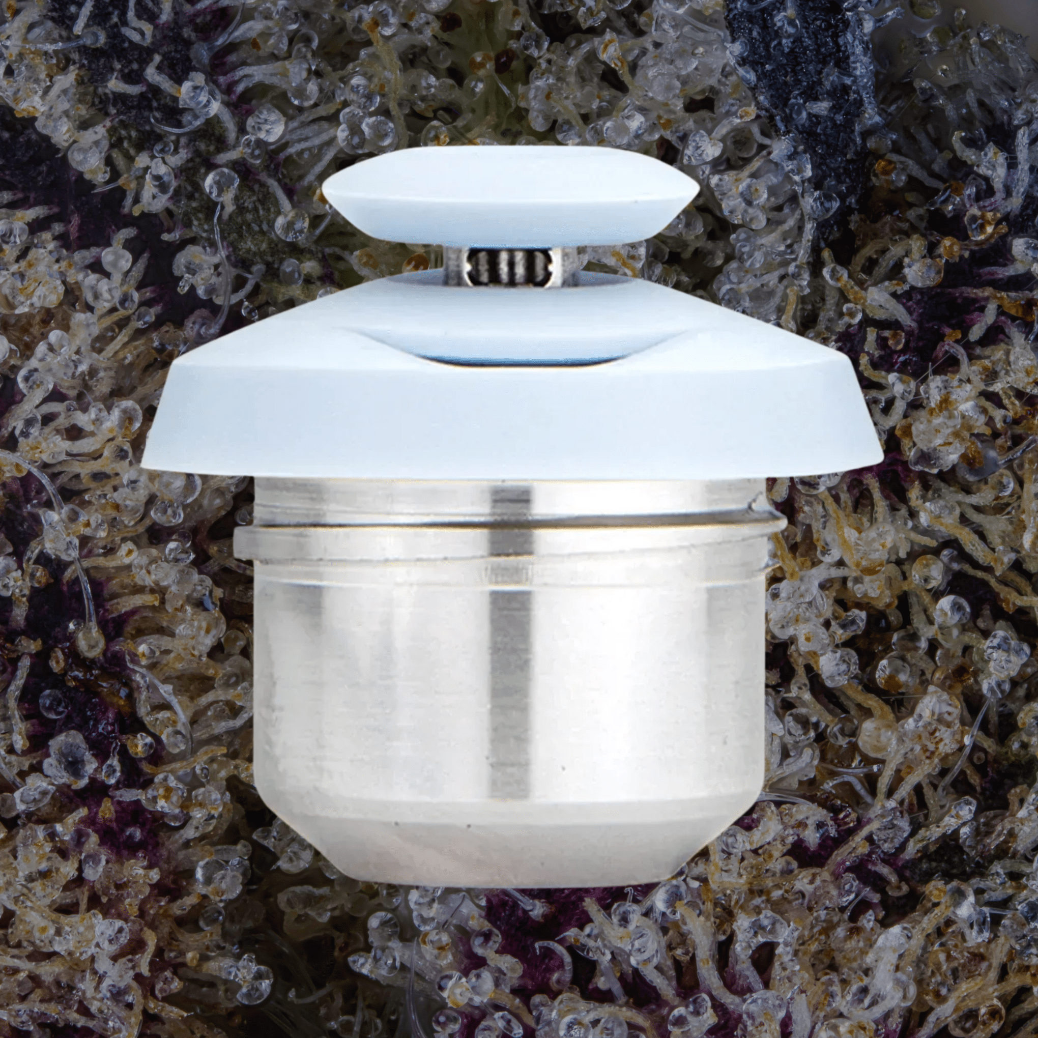 Puffco New Proxy 3D Chamber Haze | Trichly