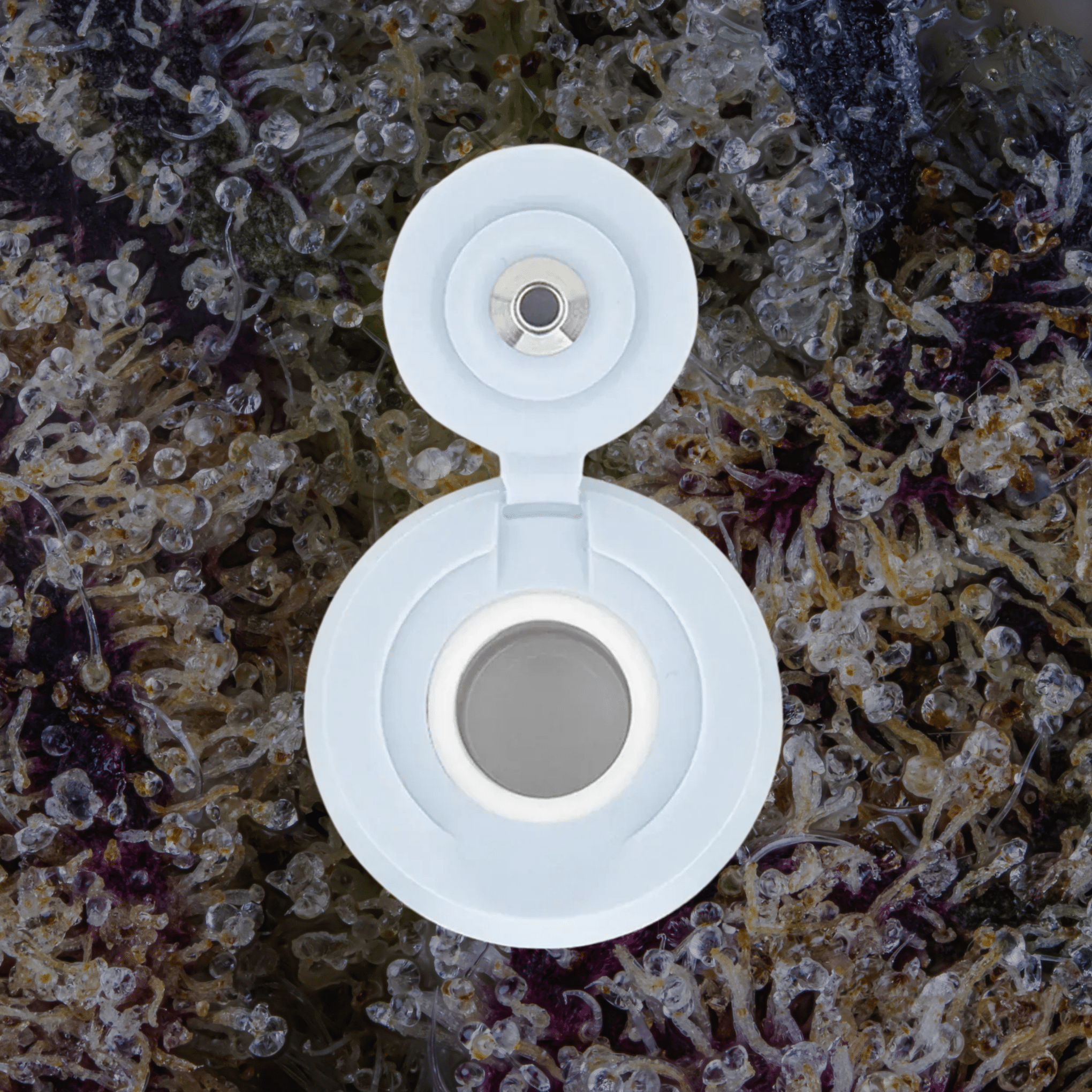 Puffco New Proxy 3D Chamber Haze | Trichly