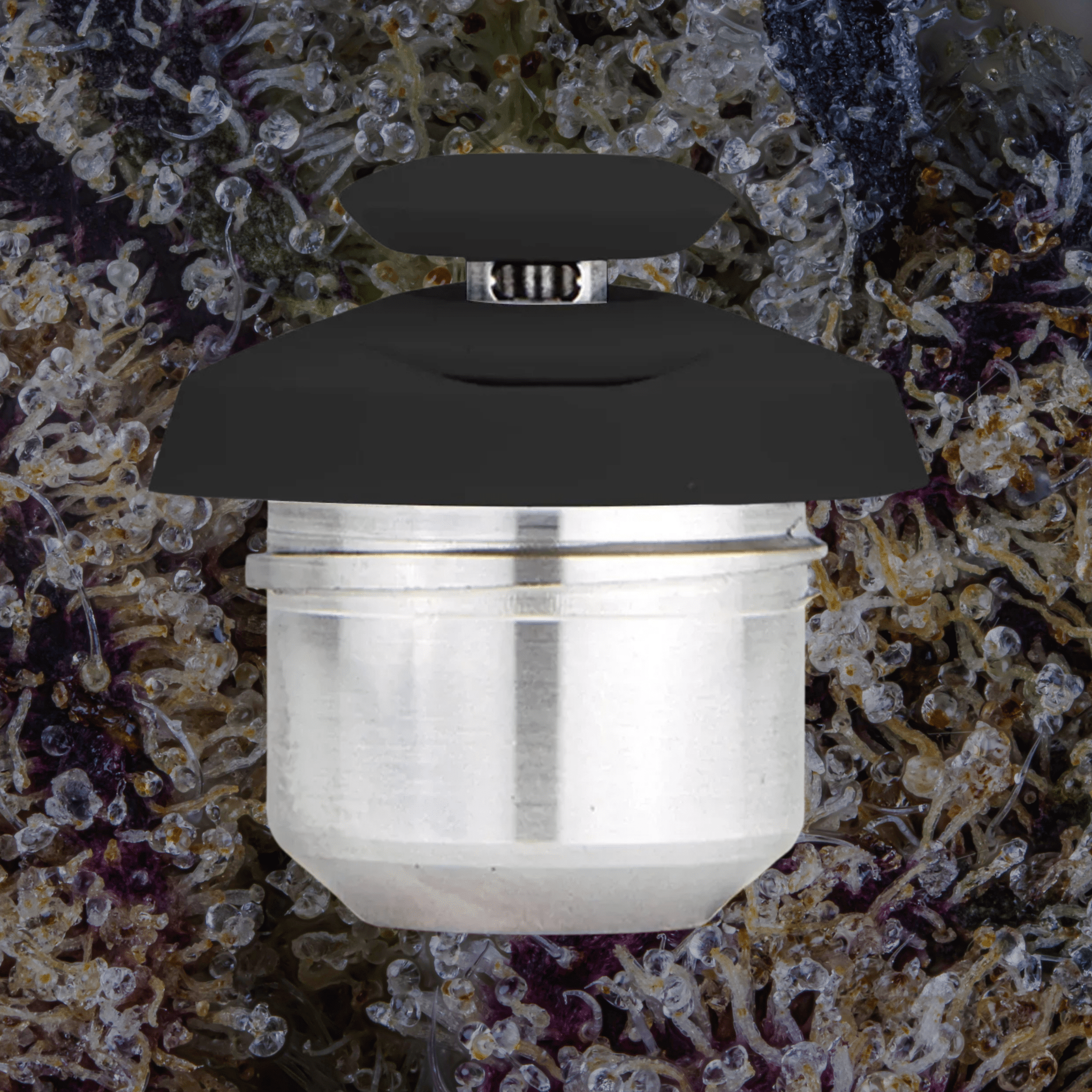 Puffco New Proxy 3D Chamber Onyx | Trichly