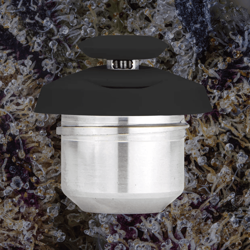 Puffco New Proxy 3D Chamber Onyx | Trichly