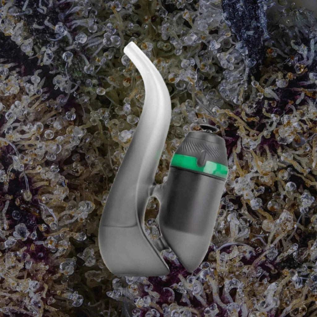 Puffco New Proxy Bubbler Onyx | Trichly
