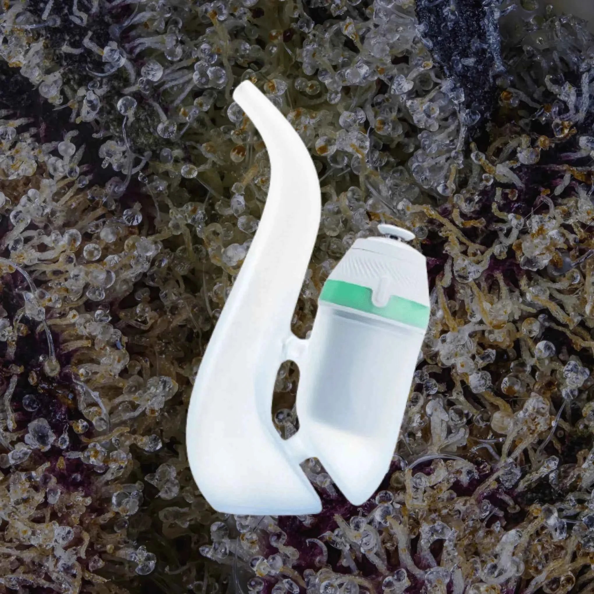 Puffco New Proxy Bubbler | Trichly