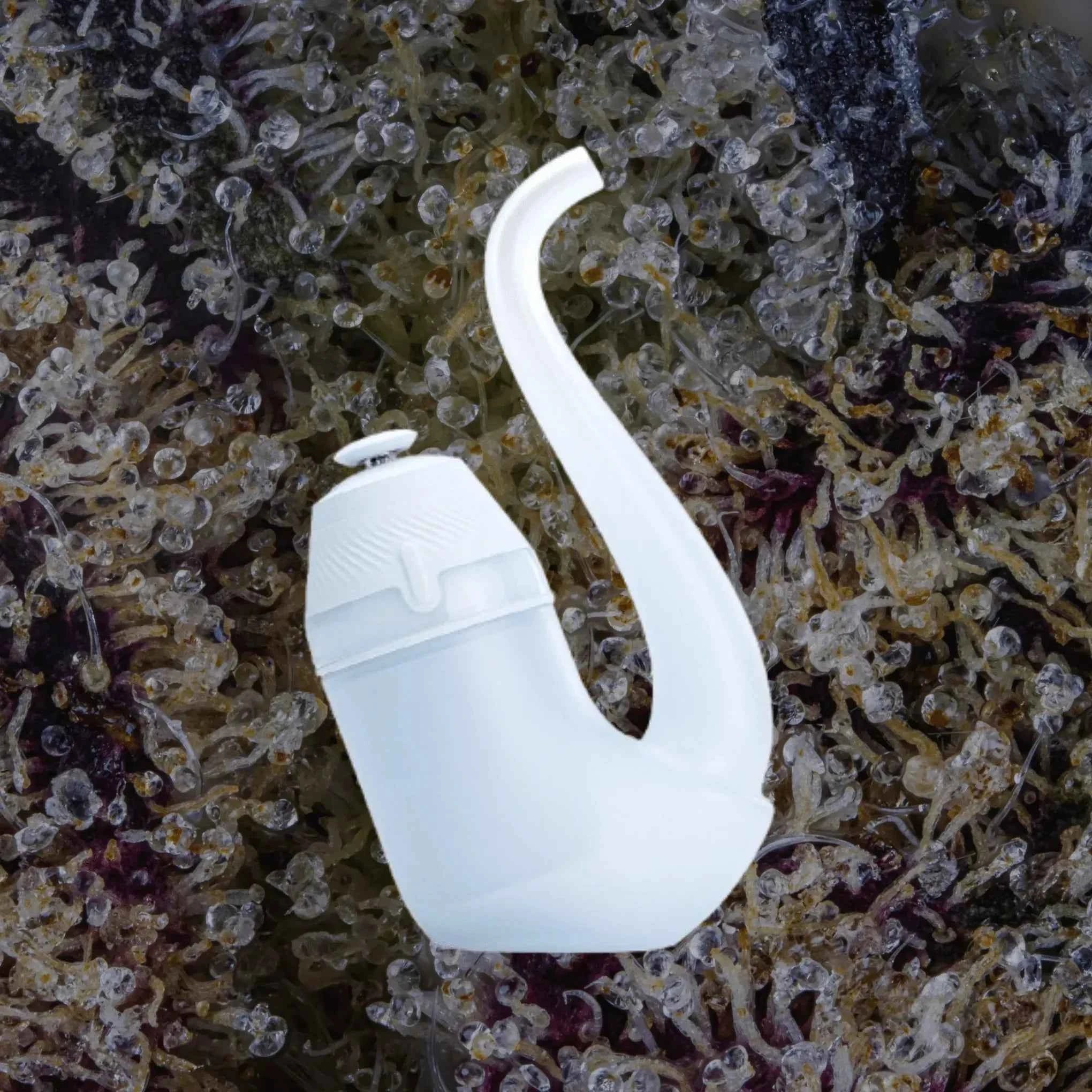 Puffco New Proxy Haze | Trichly