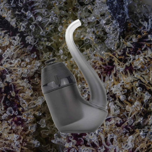 Puffco New Proxy Onyx | Trichly