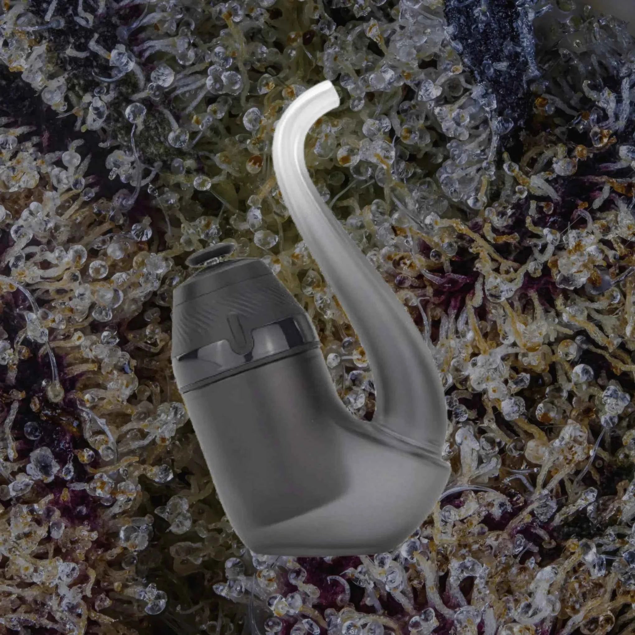 Puffco New Proxy Onyx | Trichly