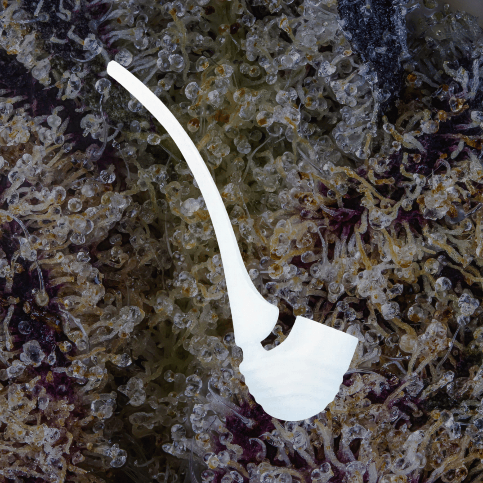 Puffco New Proxy Wizard Attachment Haze | Trichly