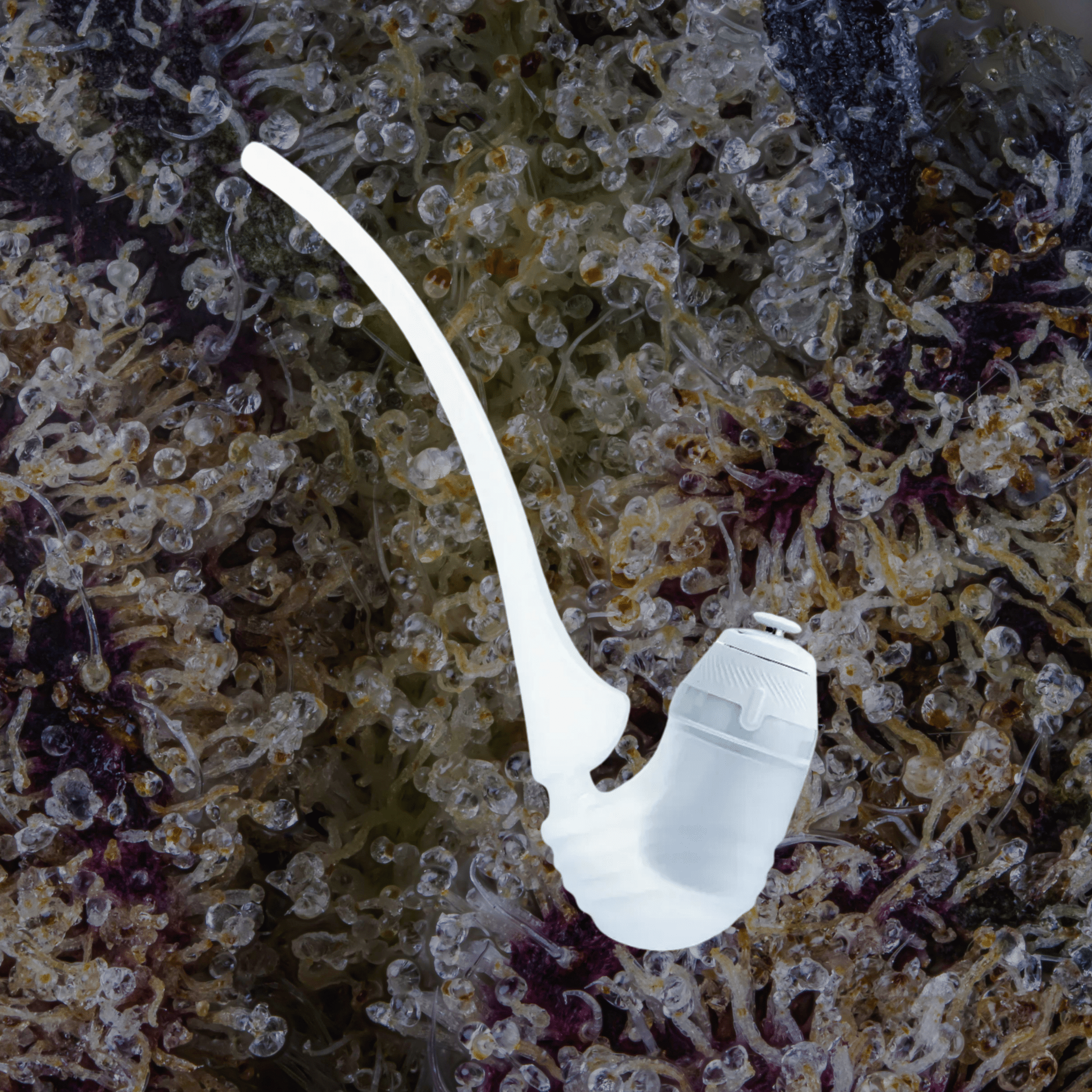 Puffco New Proxy Wizard Attachment Haze | Trichly