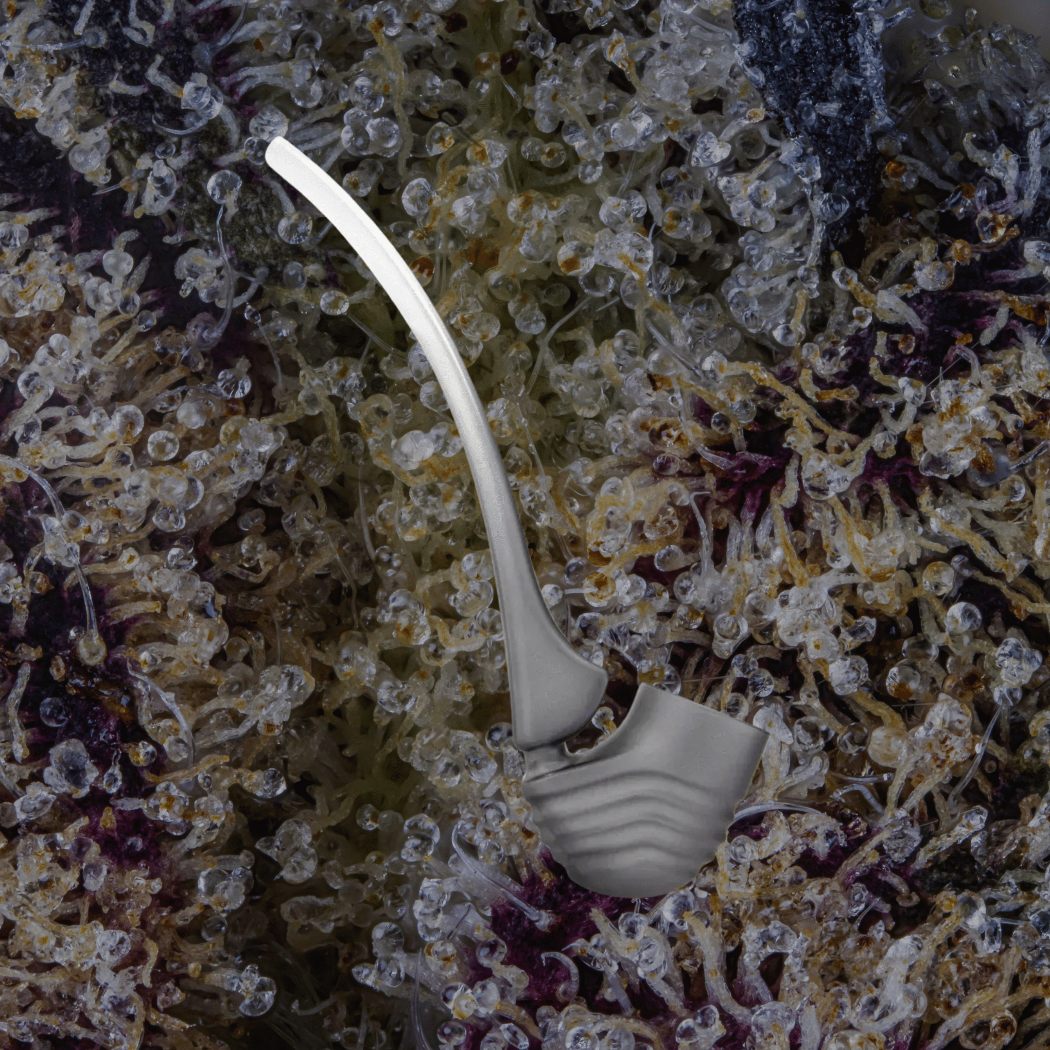 Puffco New Proxy Wizard Attachment Onyx | Trichly