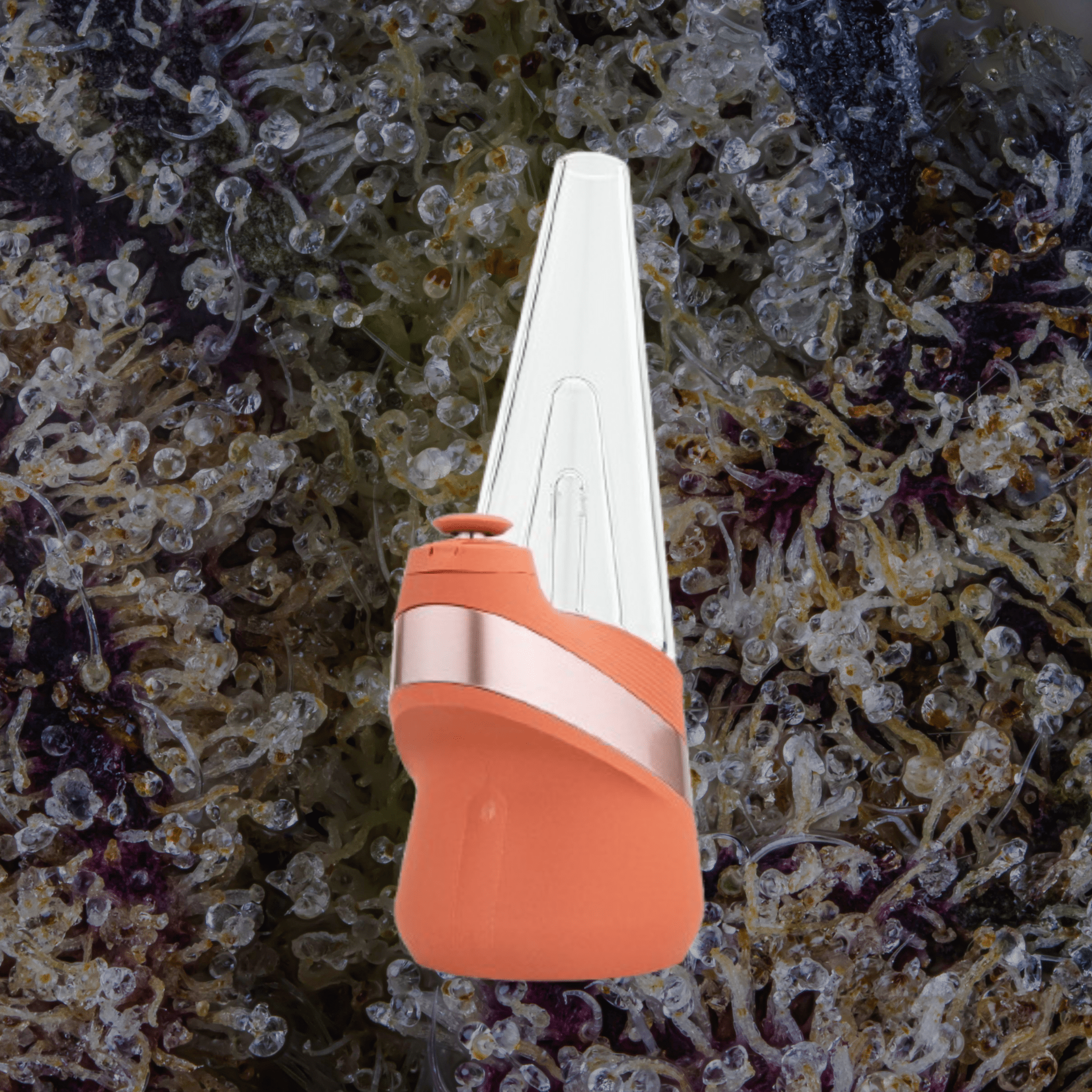 Puffco Peak Canyon | Trichly