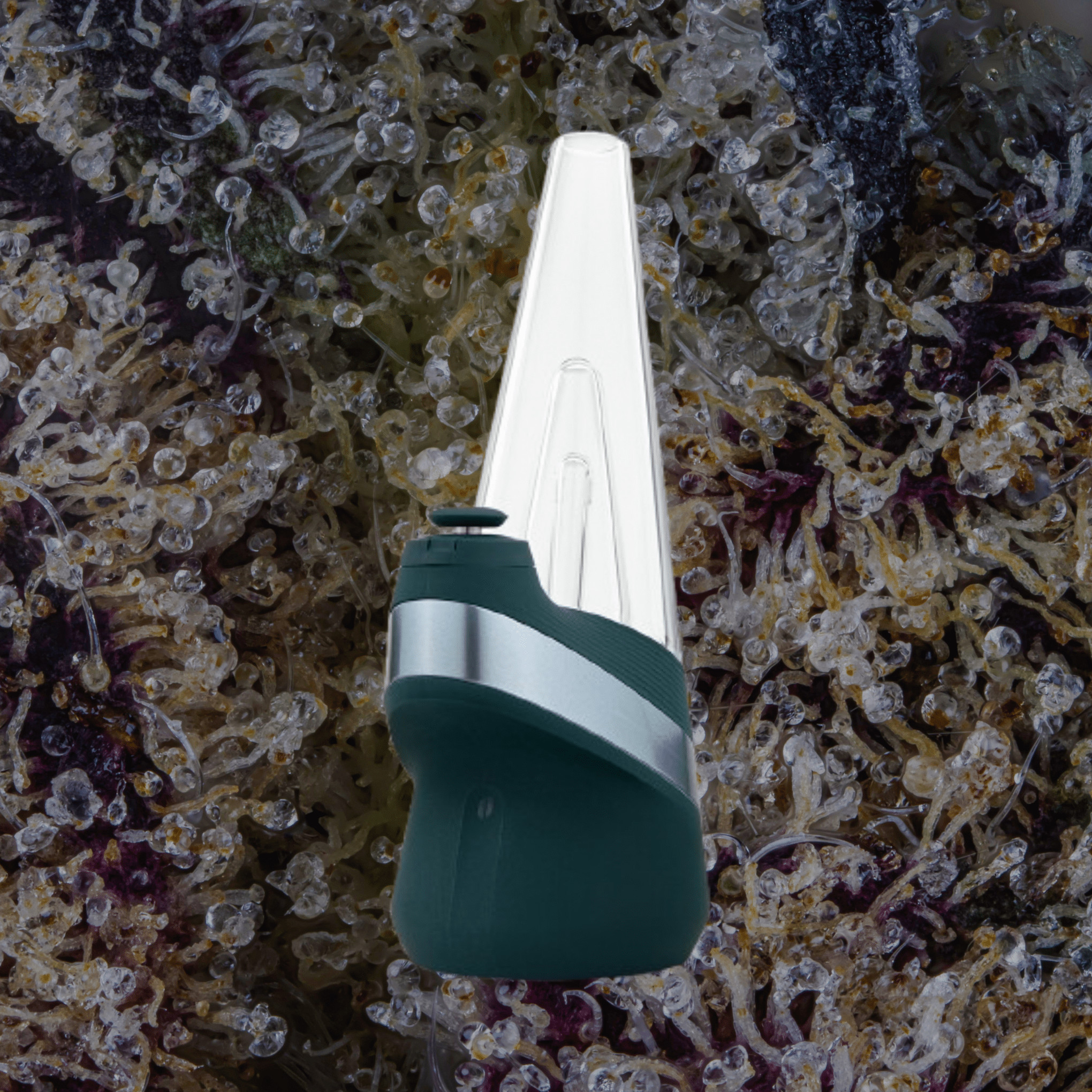 Puffco Peak Pine | Trichly