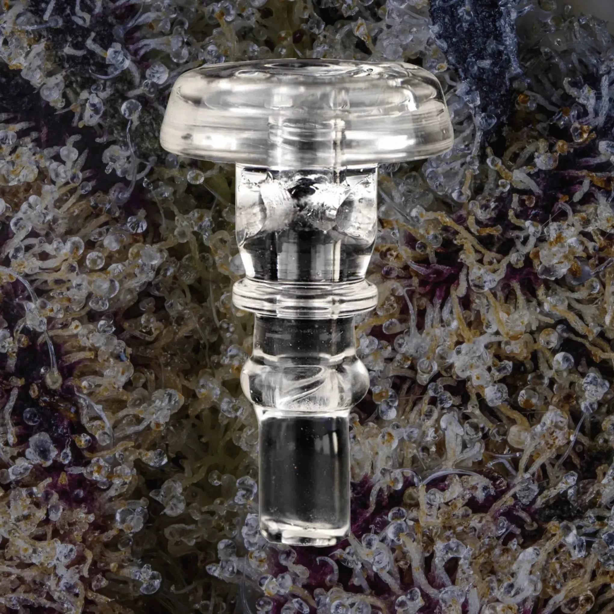 Puffco Peak Pro 3DXL Joystick Caps Clear | Trichly