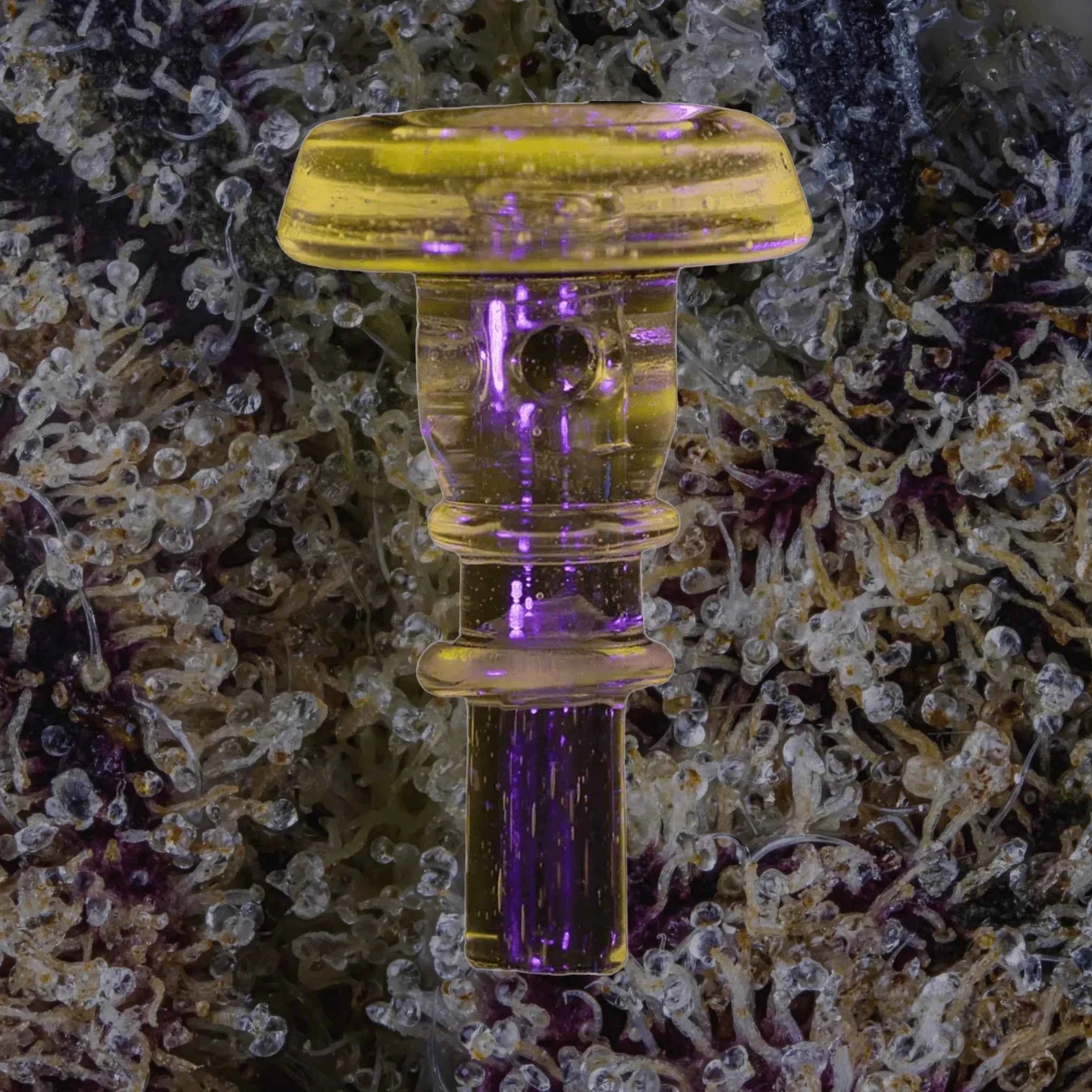 Puffco Peak Pro 3DXL Joystick Caps Eclipse | Trichly